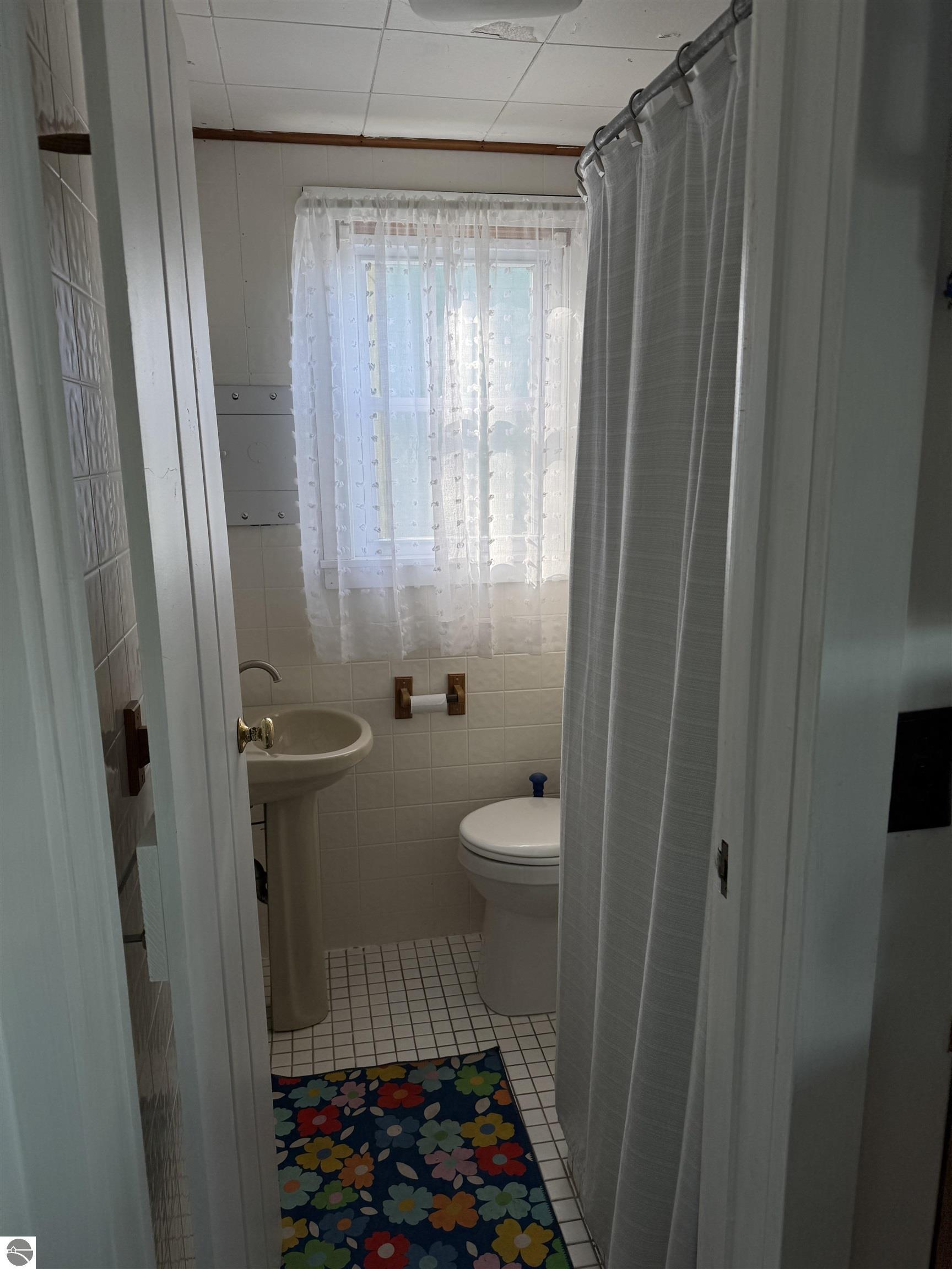 1779 S Green Road, Lake City, MI 49651 — Photo 12