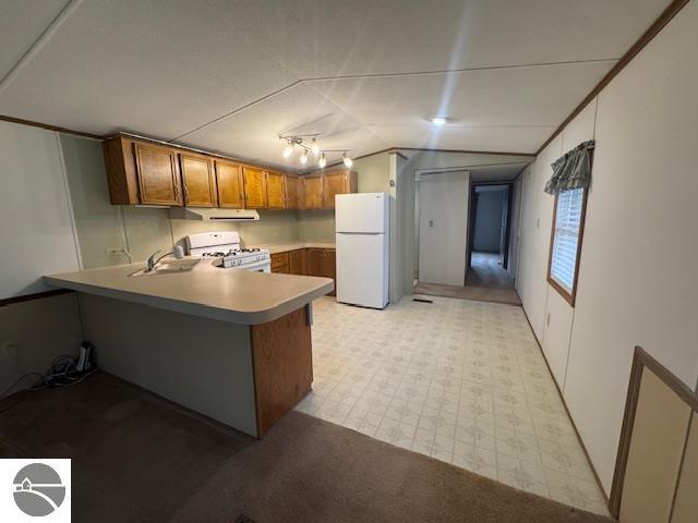 2520 S Blodgett, Lake City, MI 49651 — Photo 10