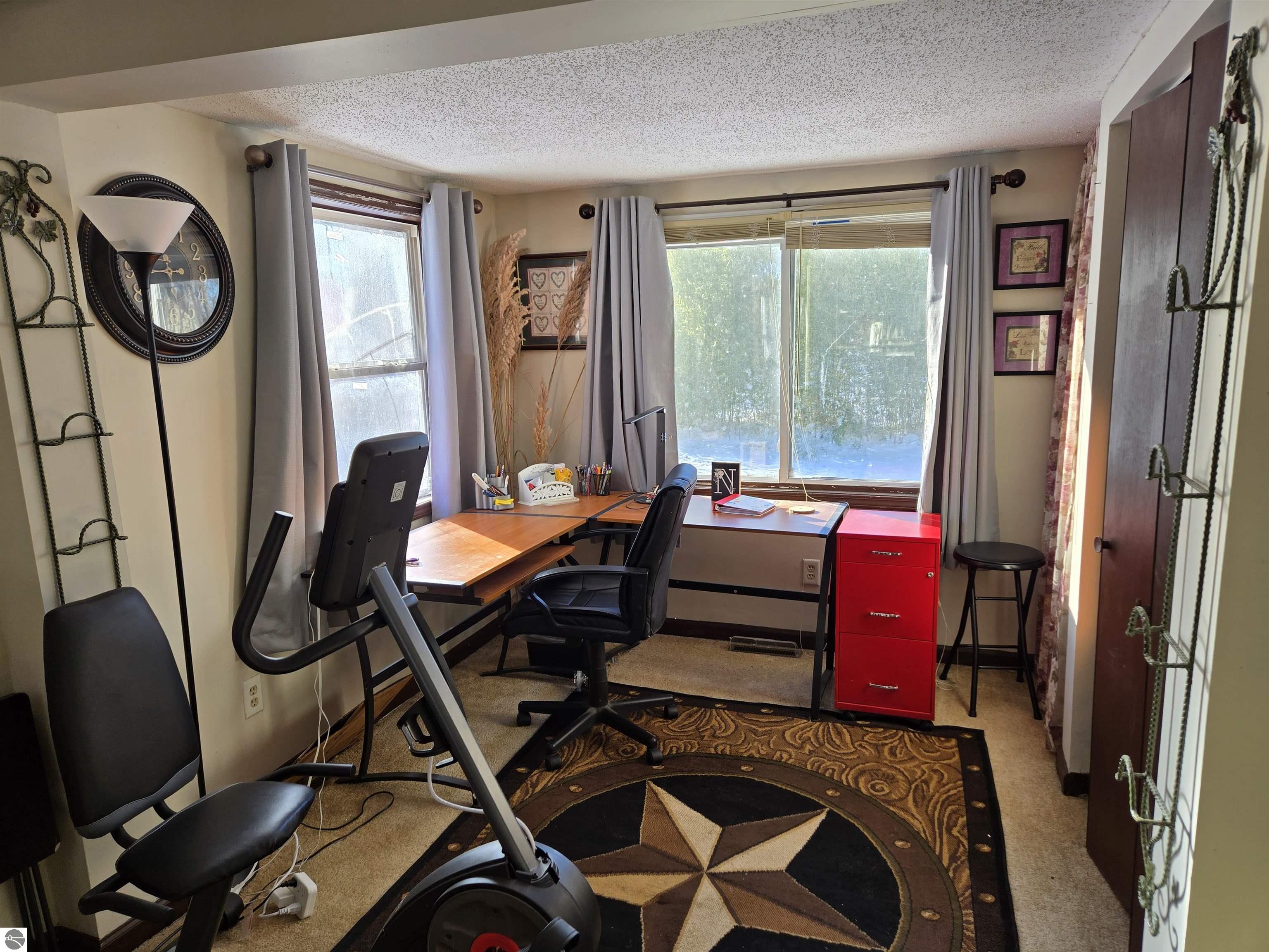 2695 Ovid Street, Crystal, MI 48818 — Photo 11