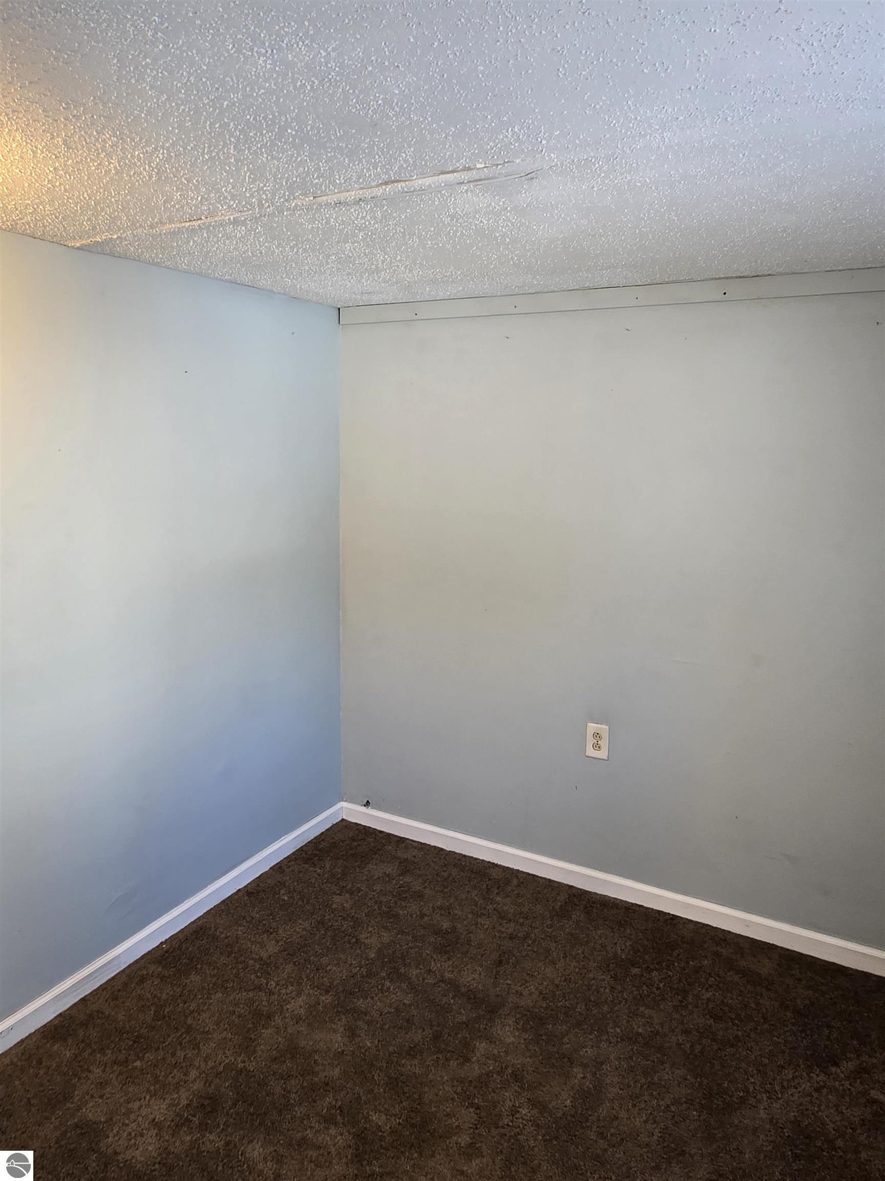 2695 Ovid Street, Crystal, MI 48818 — Photo 13