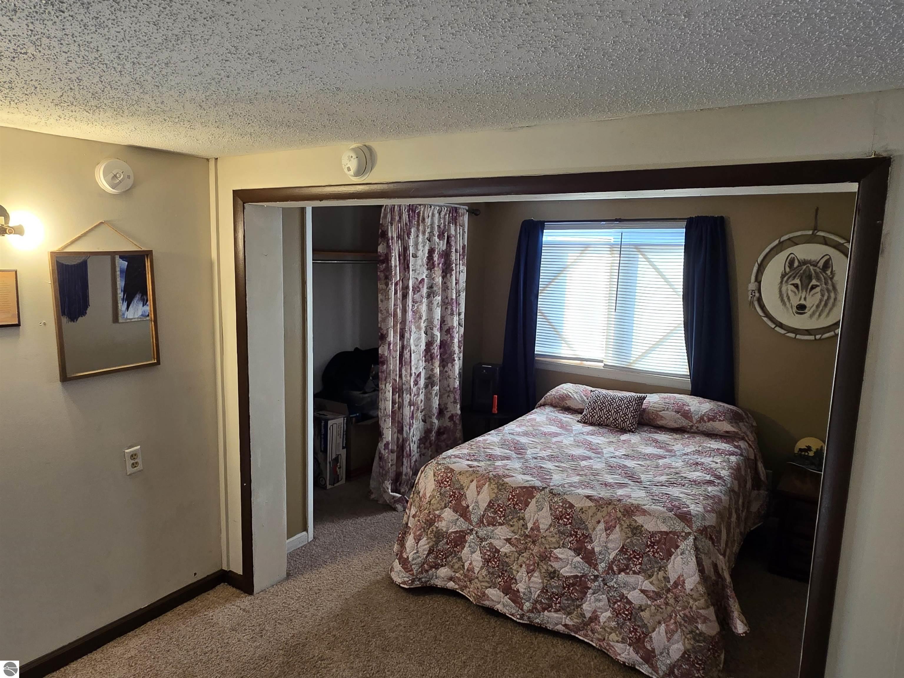 2695 Ovid Street, Crystal, MI 48818 — Photo 15