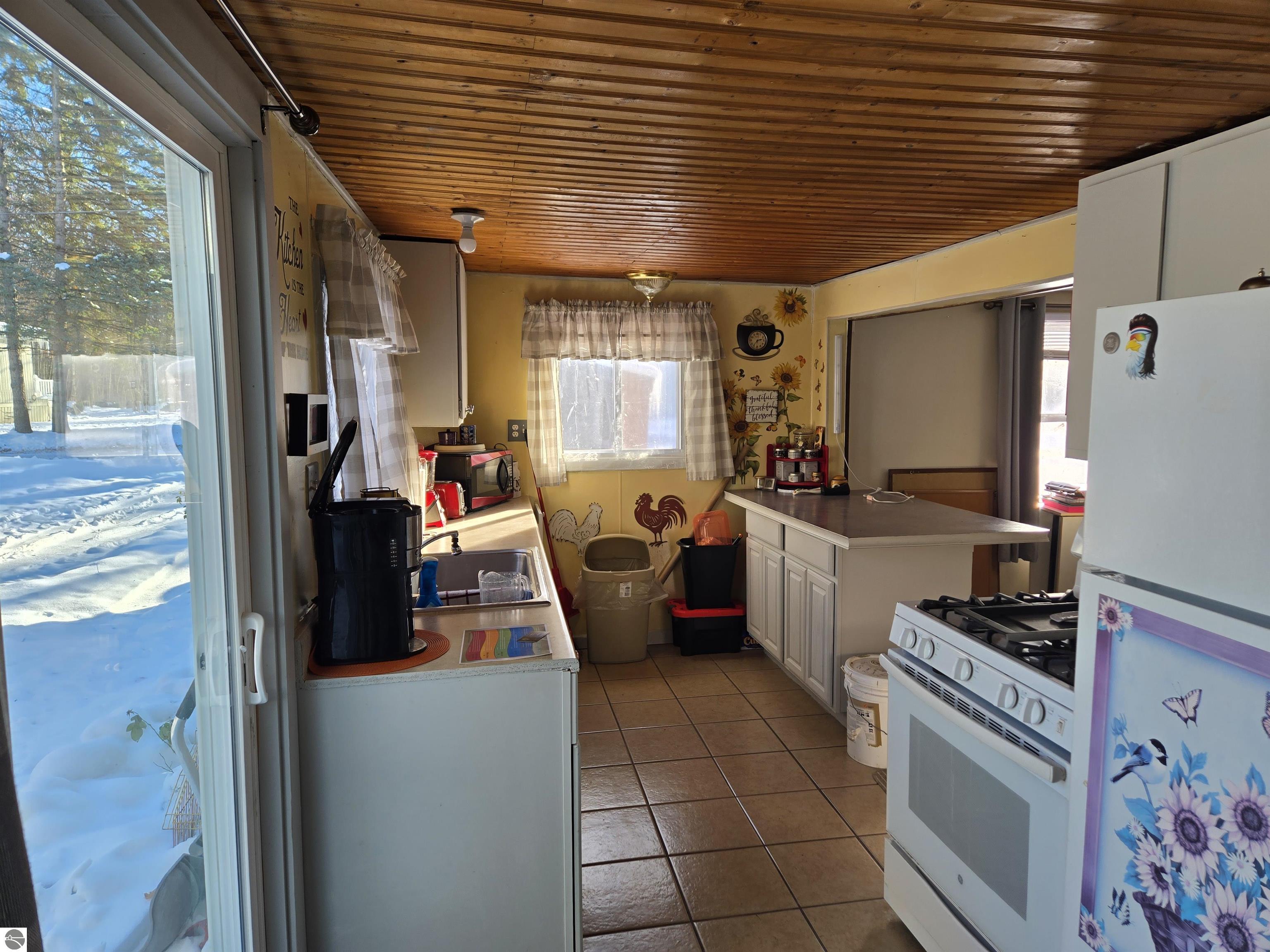 2695 Ovid Street, Crystal, MI 48818 — Photo 4