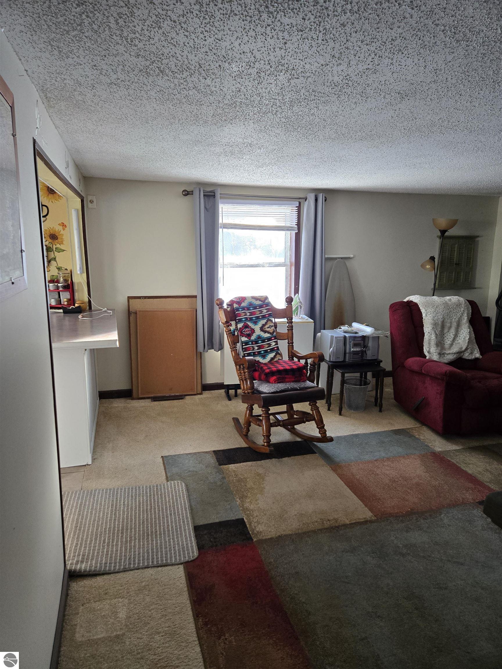 2695 Ovid Street, Crystal, MI 48818 — Photo 7