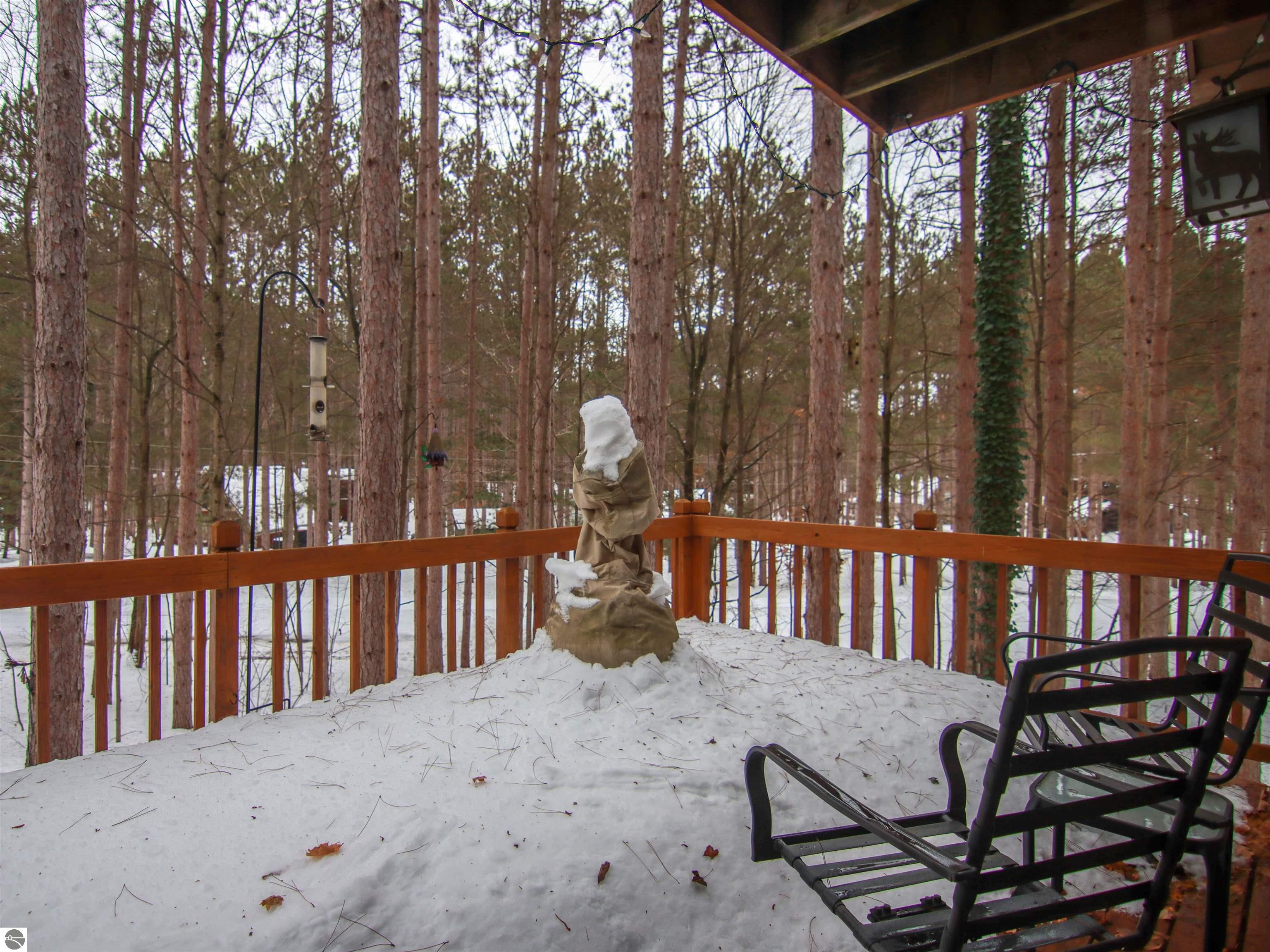 7864 Chippewa Drive, Thompsonville, MI 49683 — Photo 16