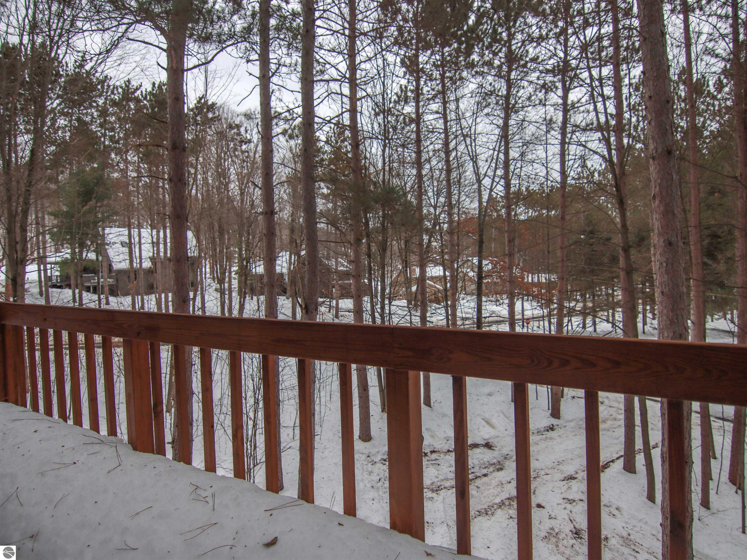 7864 Chippewa Drive, Thompsonville, MI 49683 — Photo 22
