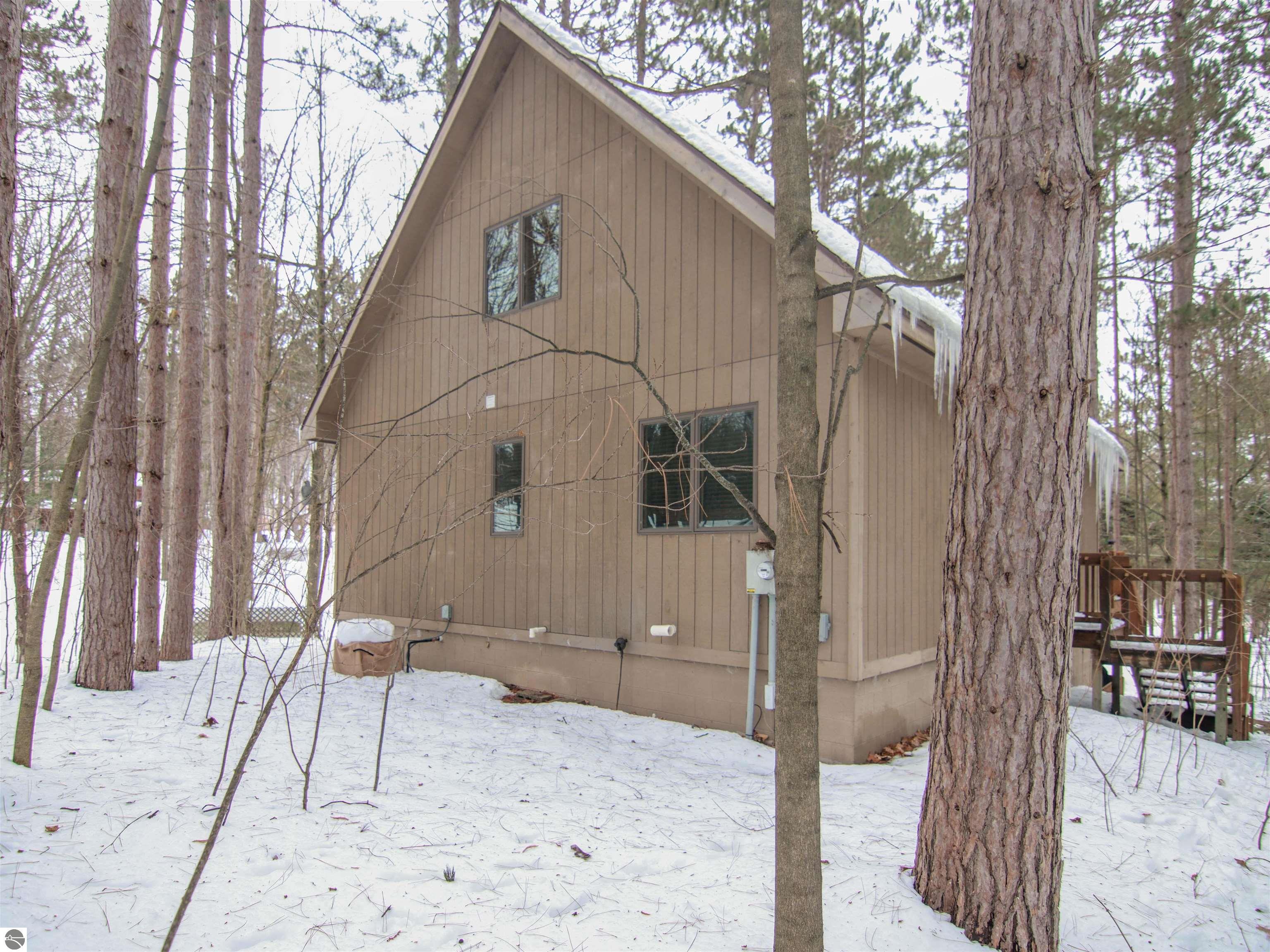 7864 Chippewa Drive, Thompsonville, MI 49683 — Photo 31