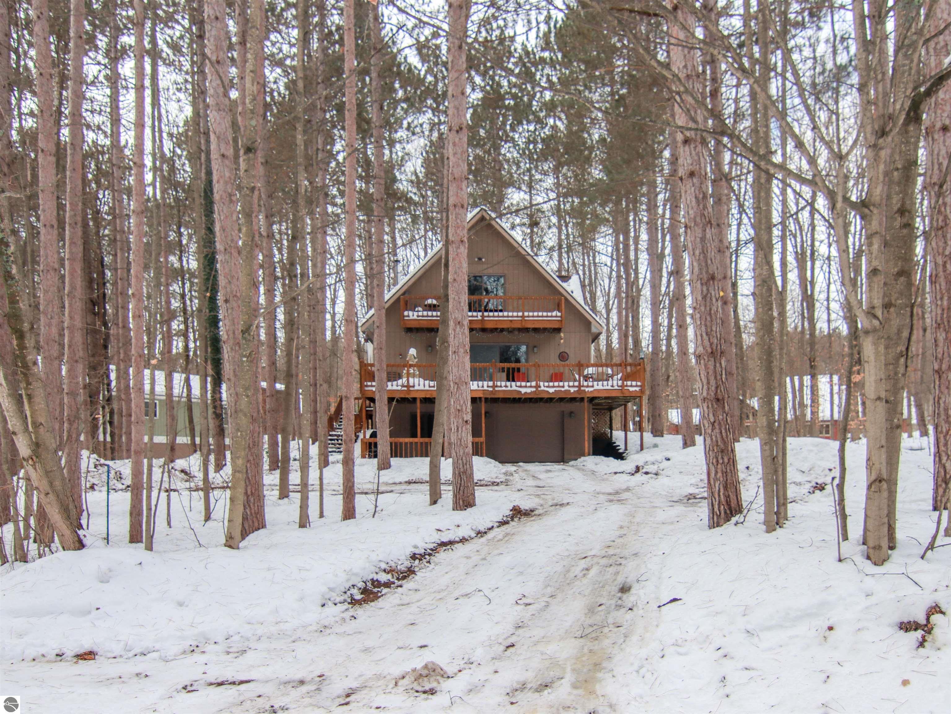 7864 Chippewa Drive, Thompsonville, MI 49683 — Photo 33