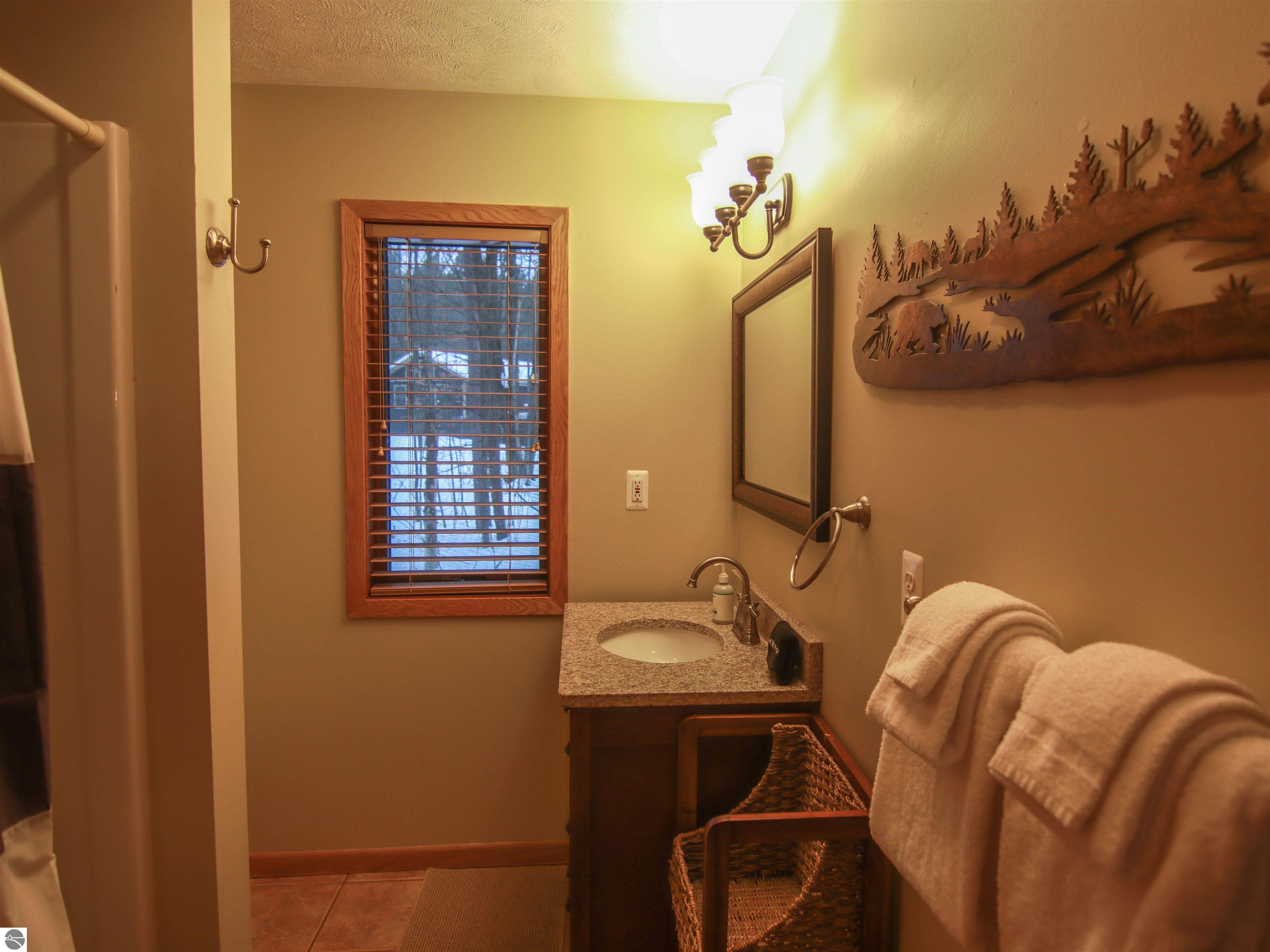 7864 Chippewa Drive, Thompsonville, MI 49683 — Photo 7