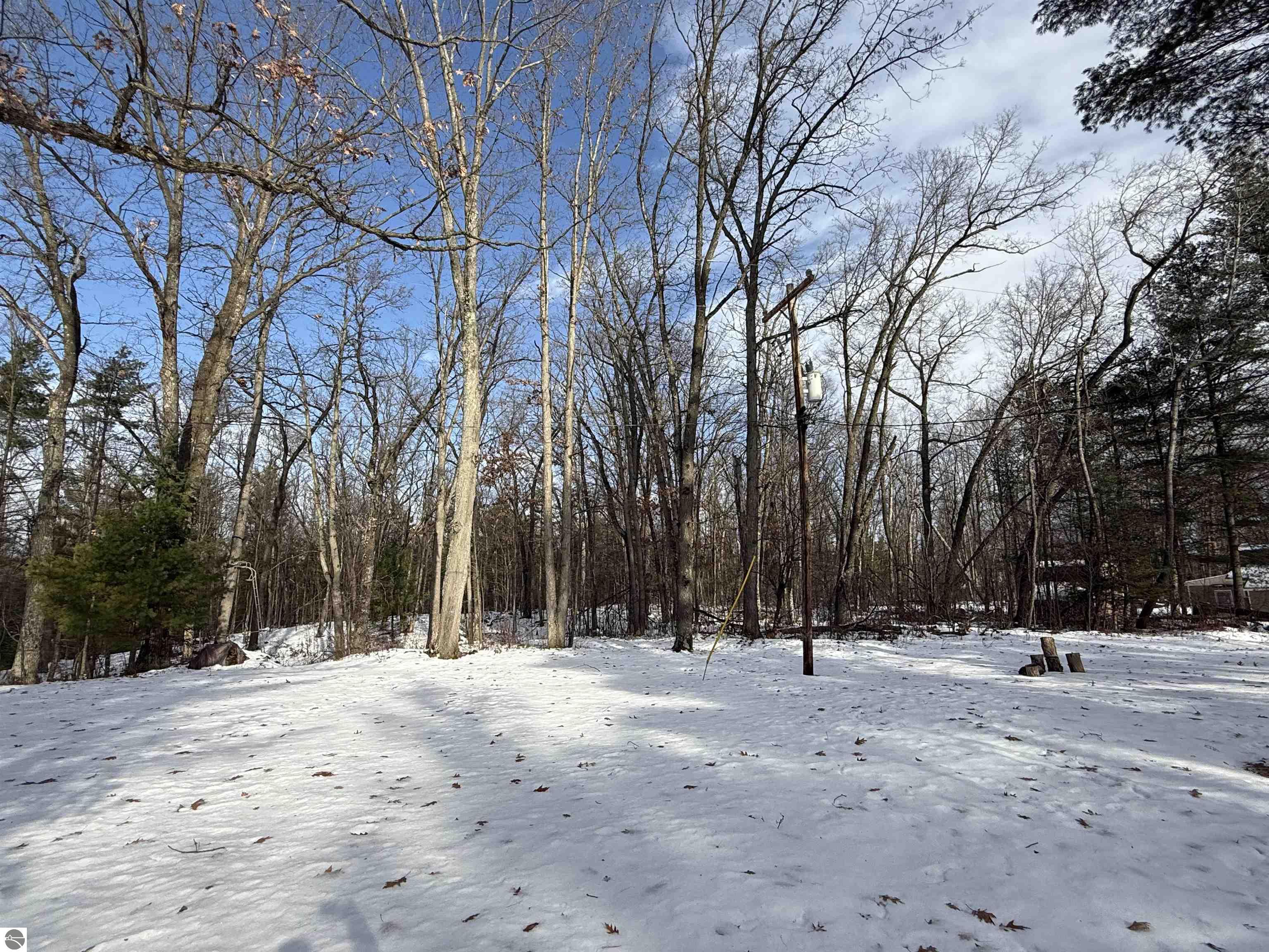 5320 Old State Road, National City, MI 48748 — Photo 19