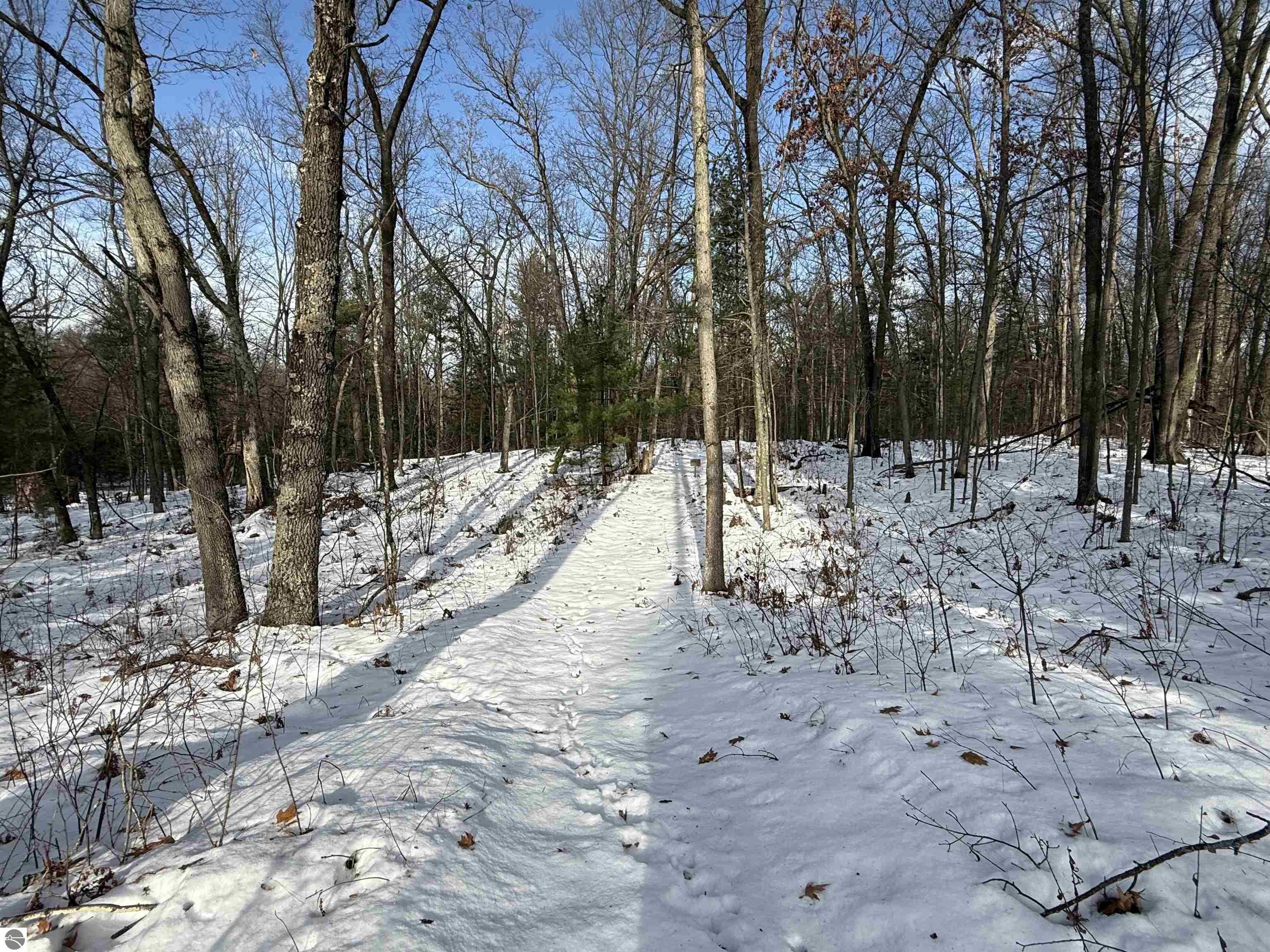5320 Old State Road, National City, MI 48748 — Photo 20