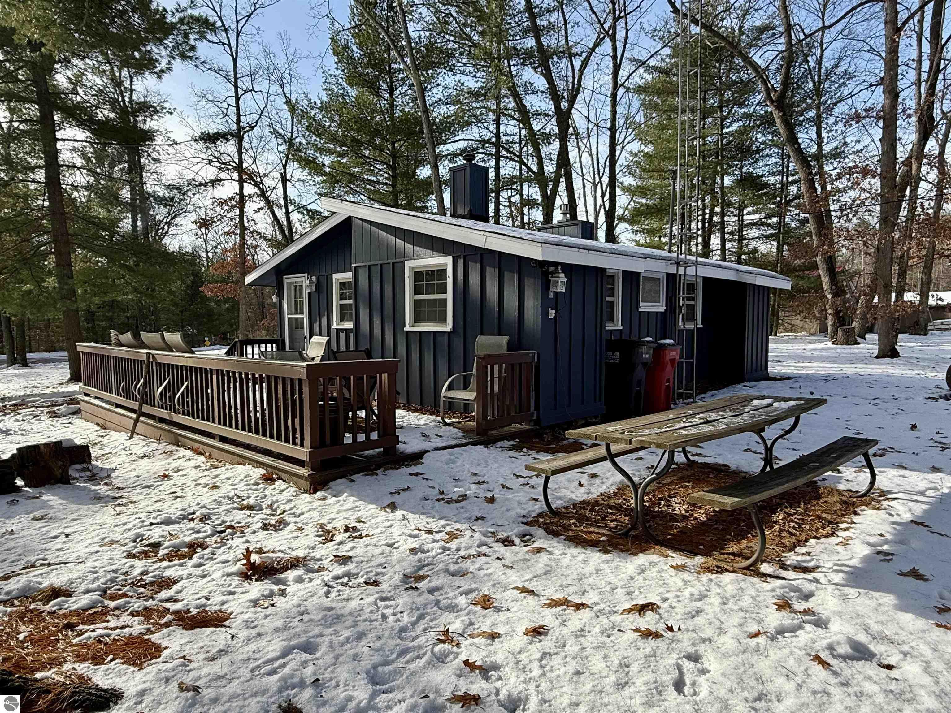 5320 Old State Road, National City, MI 48748 — Photo 3