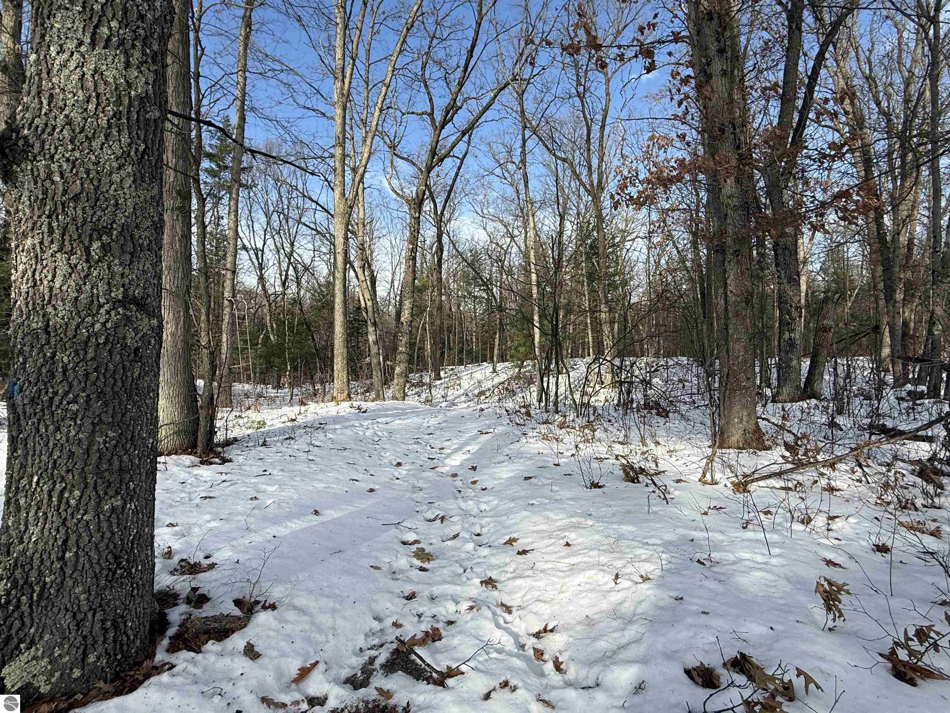 5320 Old State Road, National City, MI 48748 — Photo 21