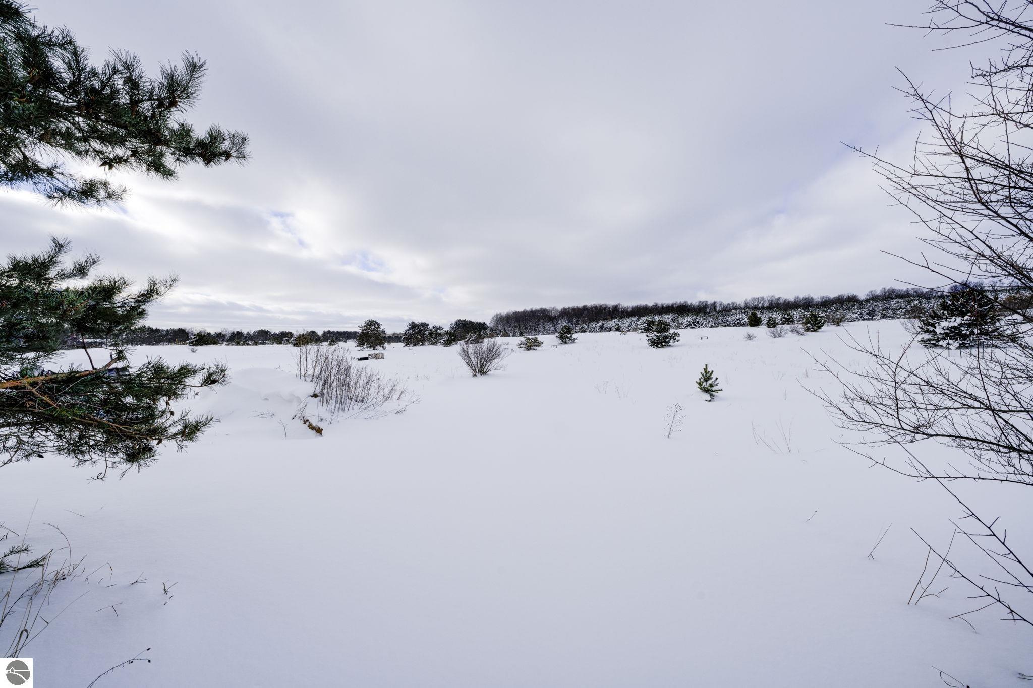 9722 Schichtel Road, Kingsley, MI 49649 — Photo 46