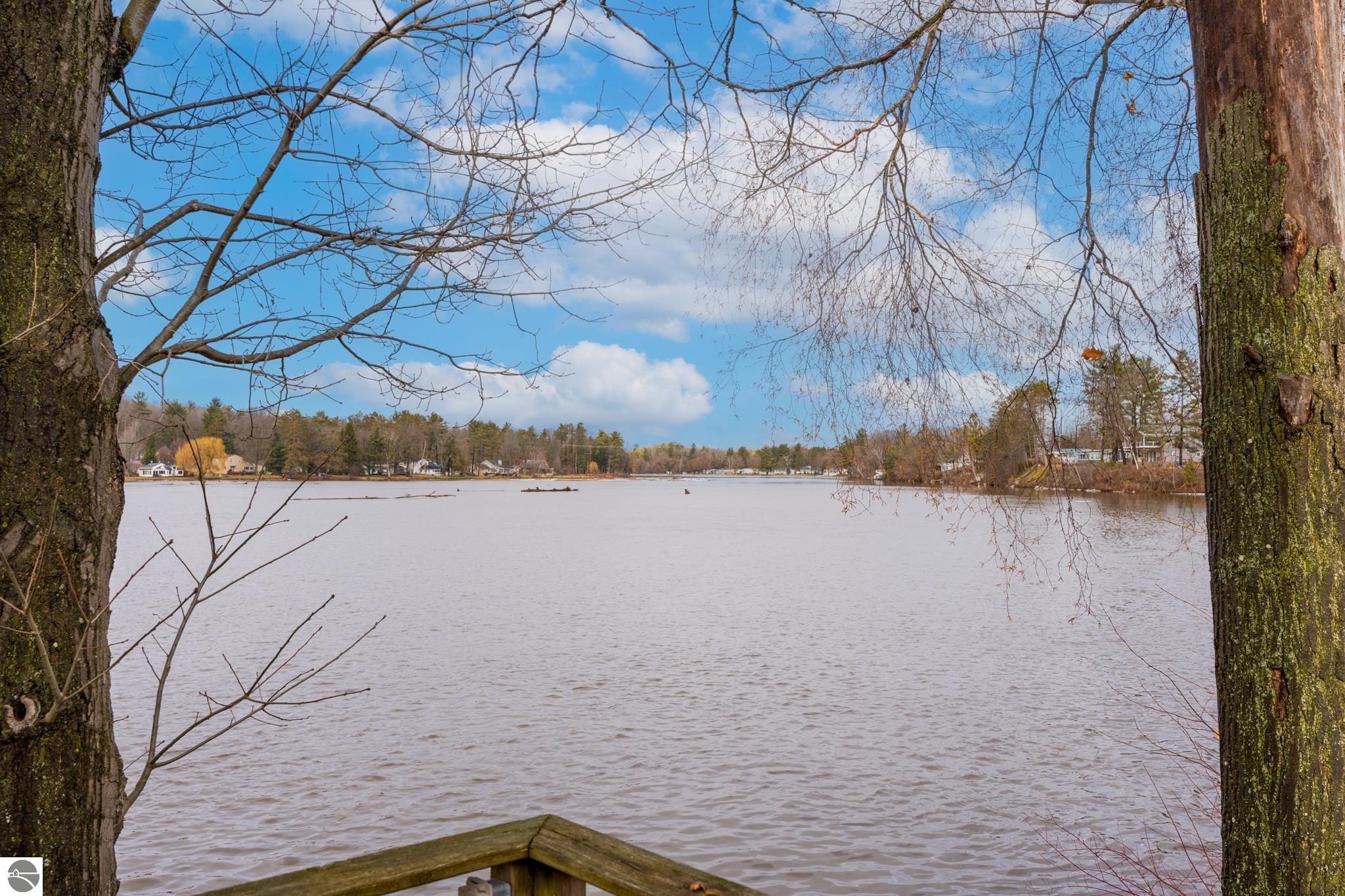 11103 Birch Park Drive, Stanwood, MI 49346 — Photo 9