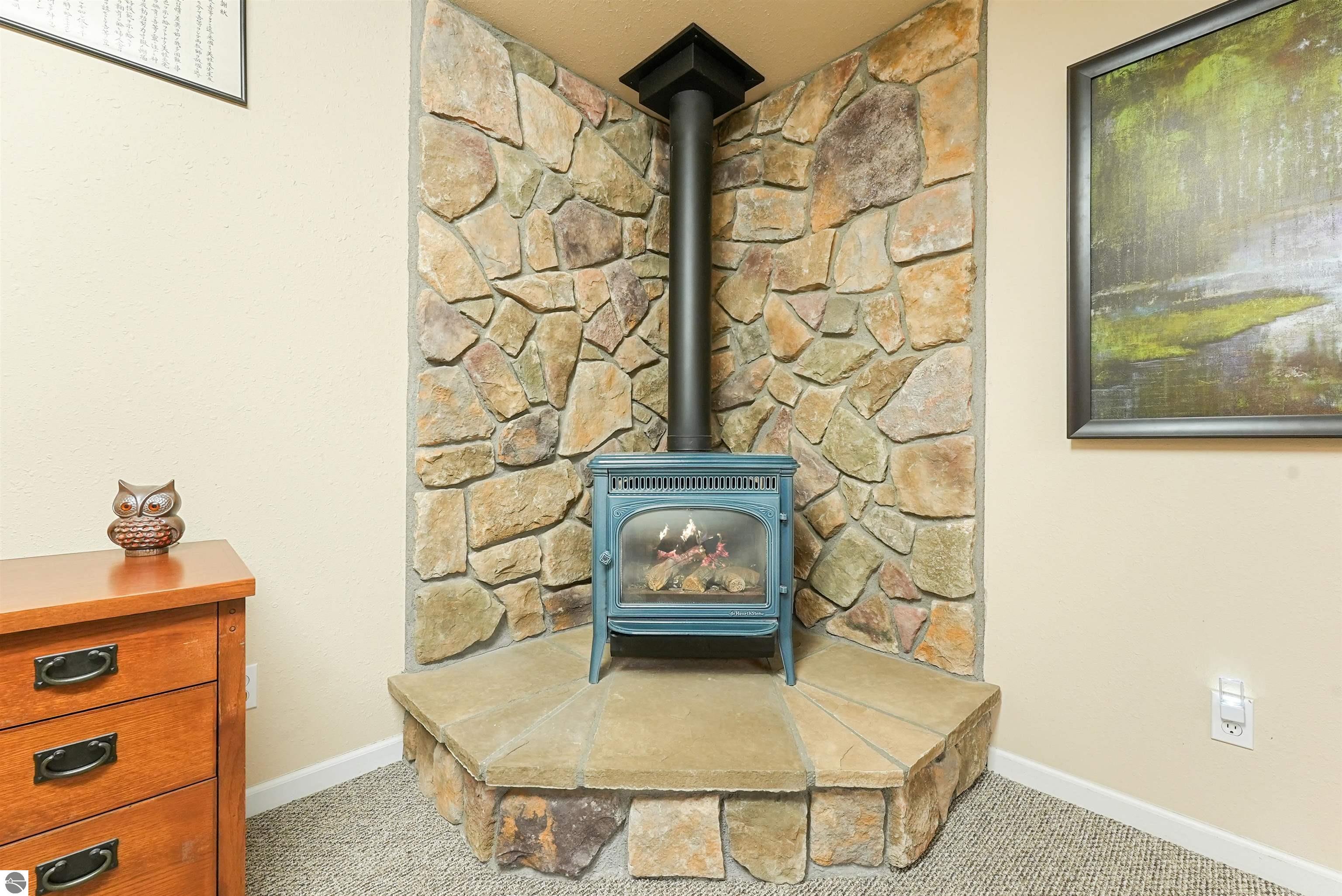 8530 Homestead Road, Benzonia, MI 49616 — Photo 24