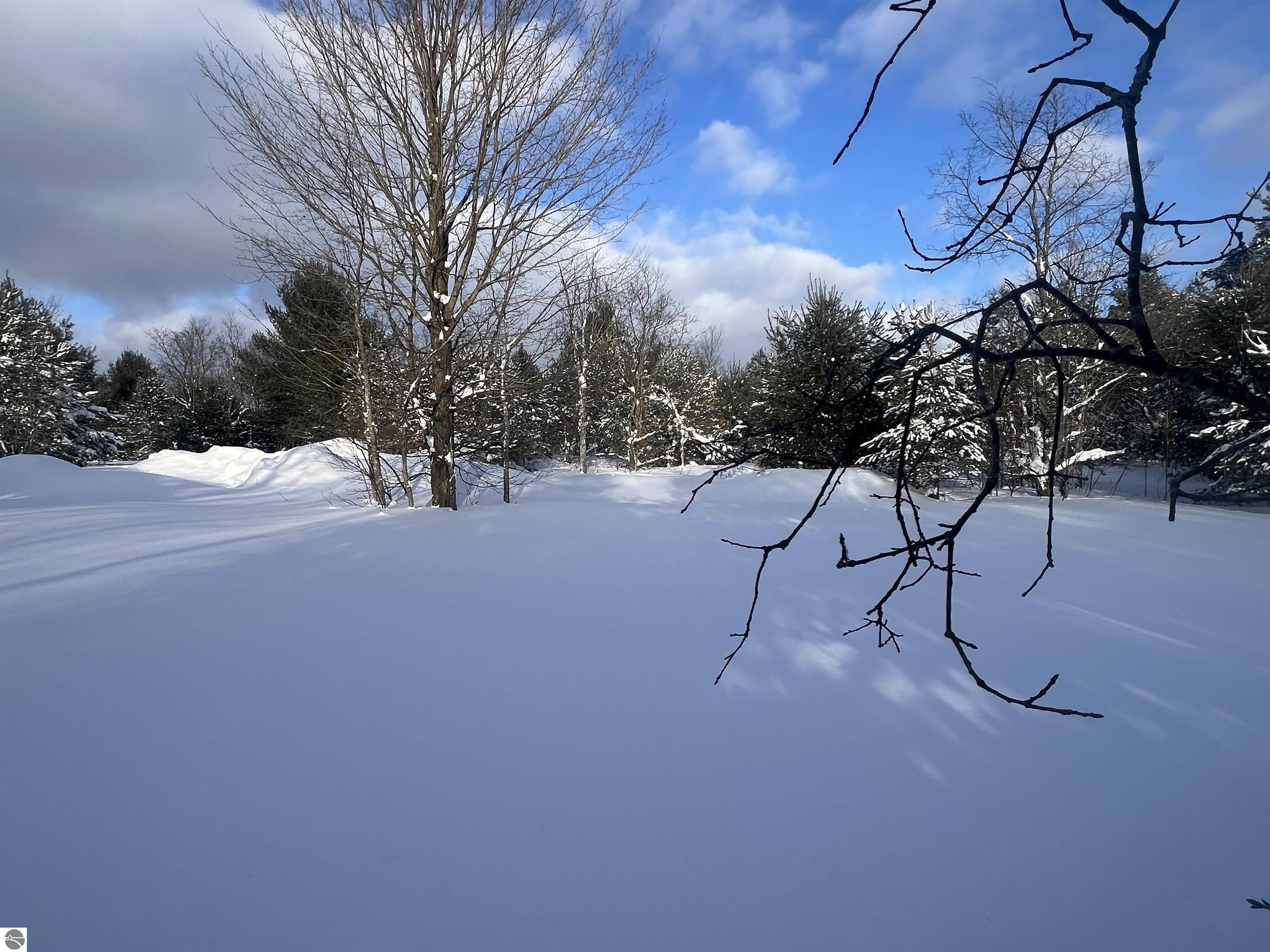 3690 County Road 571, Kalkaska, MI 49646 — Photo 13