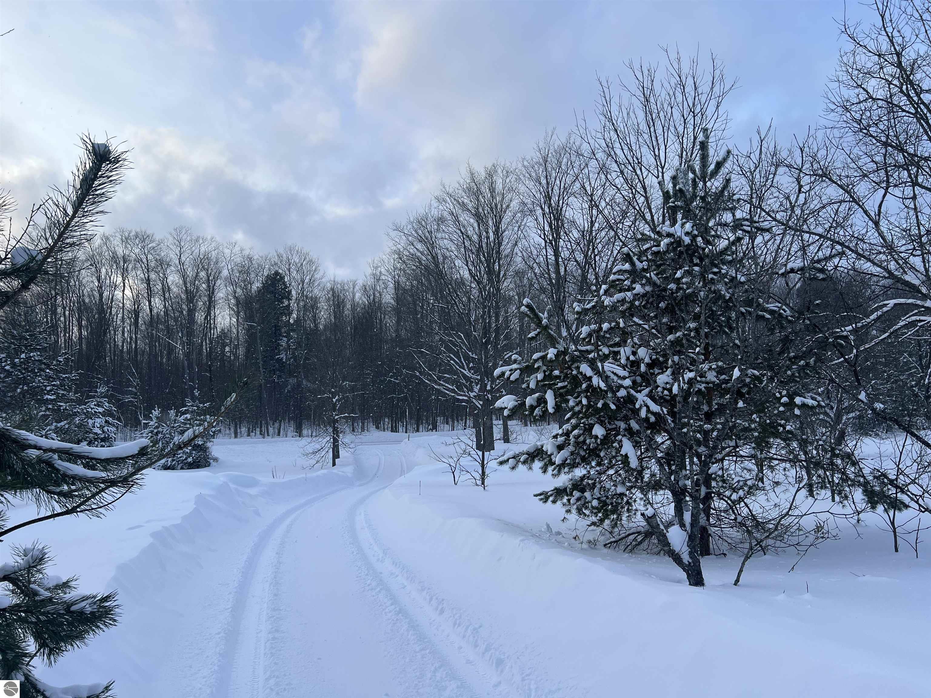 3690 County Road 571, Kalkaska, MI 49646 — Photo 28