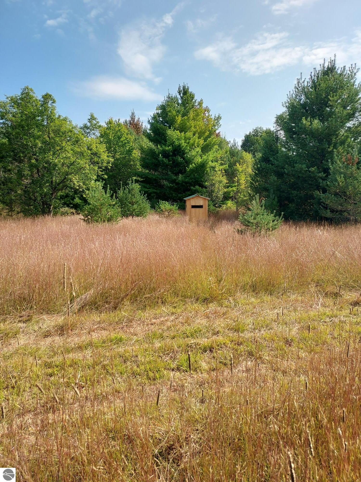 3690 County Road 571, Kalkaska, MI 49646 — Photo 34