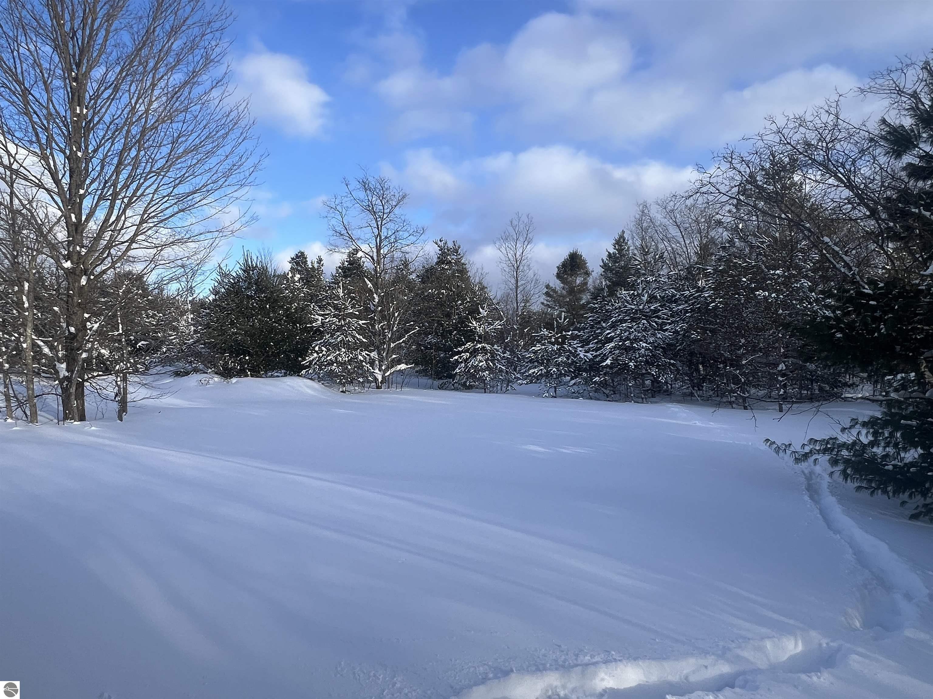 3690 County Road 571, Kalkaska, MI 49646 — Photo 35