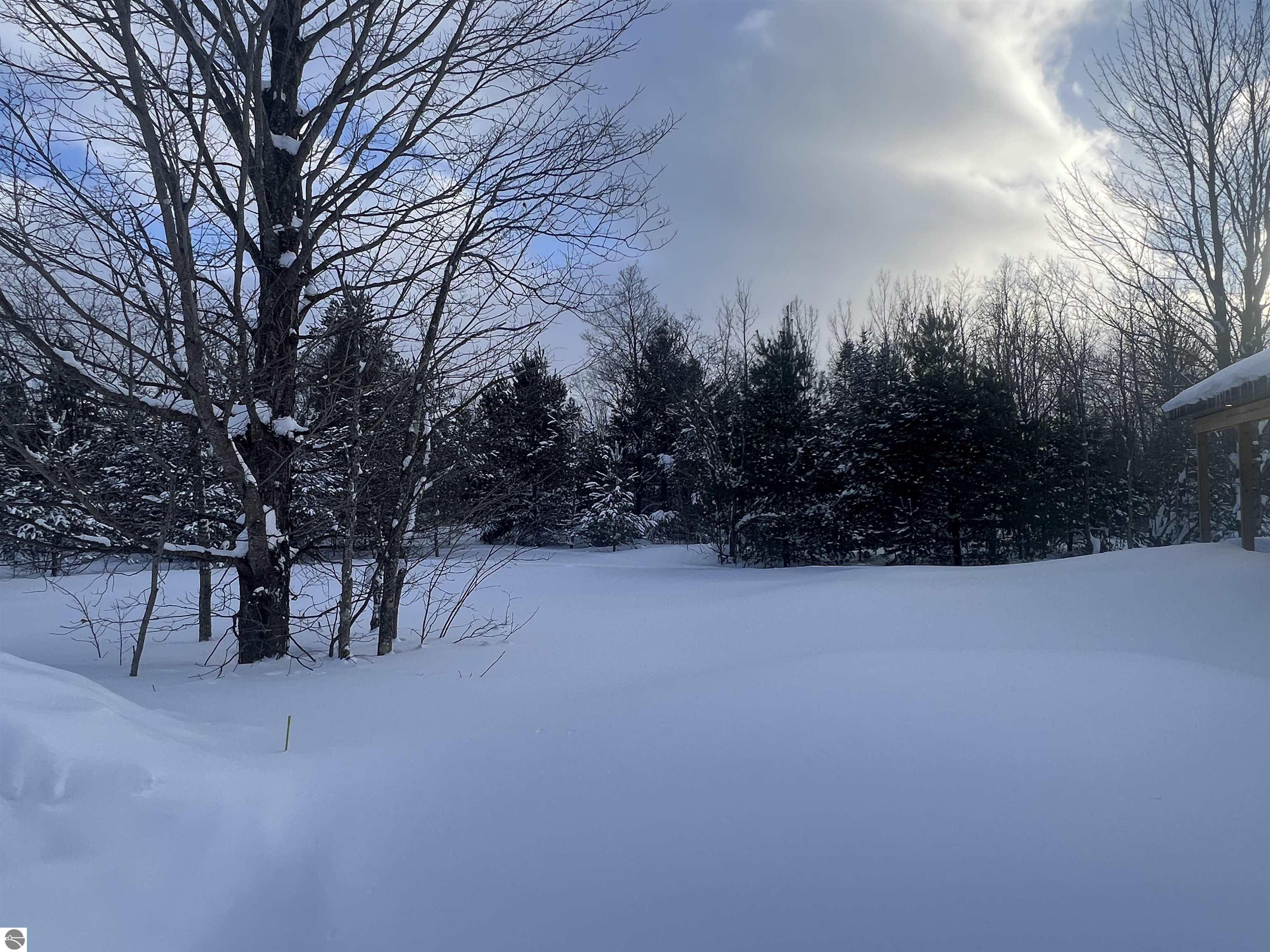 3690 County Road 571, Kalkaska, MI 49646 — Photo 53