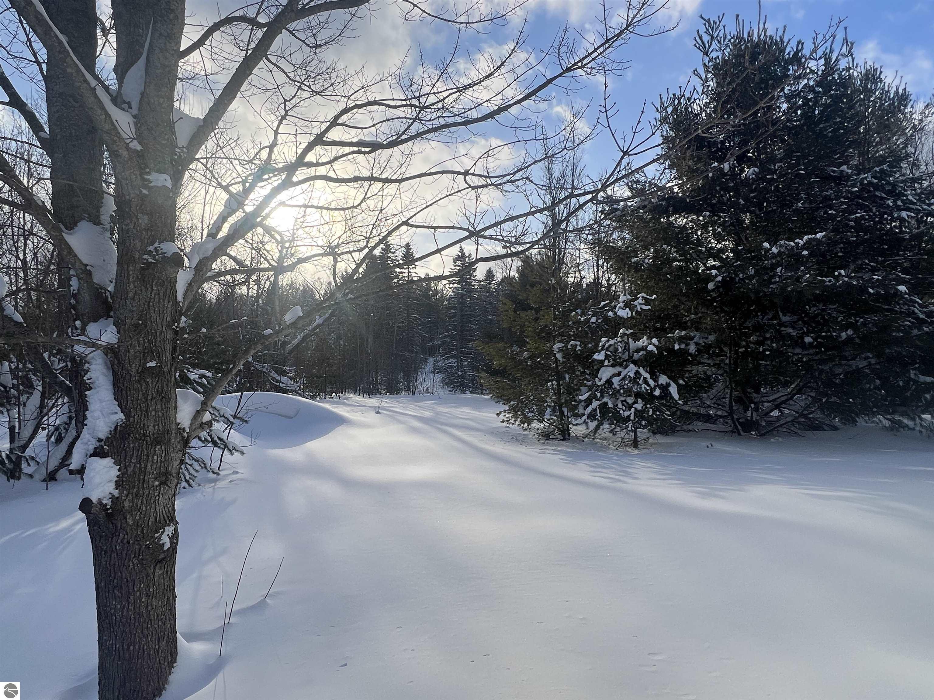 3690 County Road 571, Kalkaska, MI 49646 — Photo 54