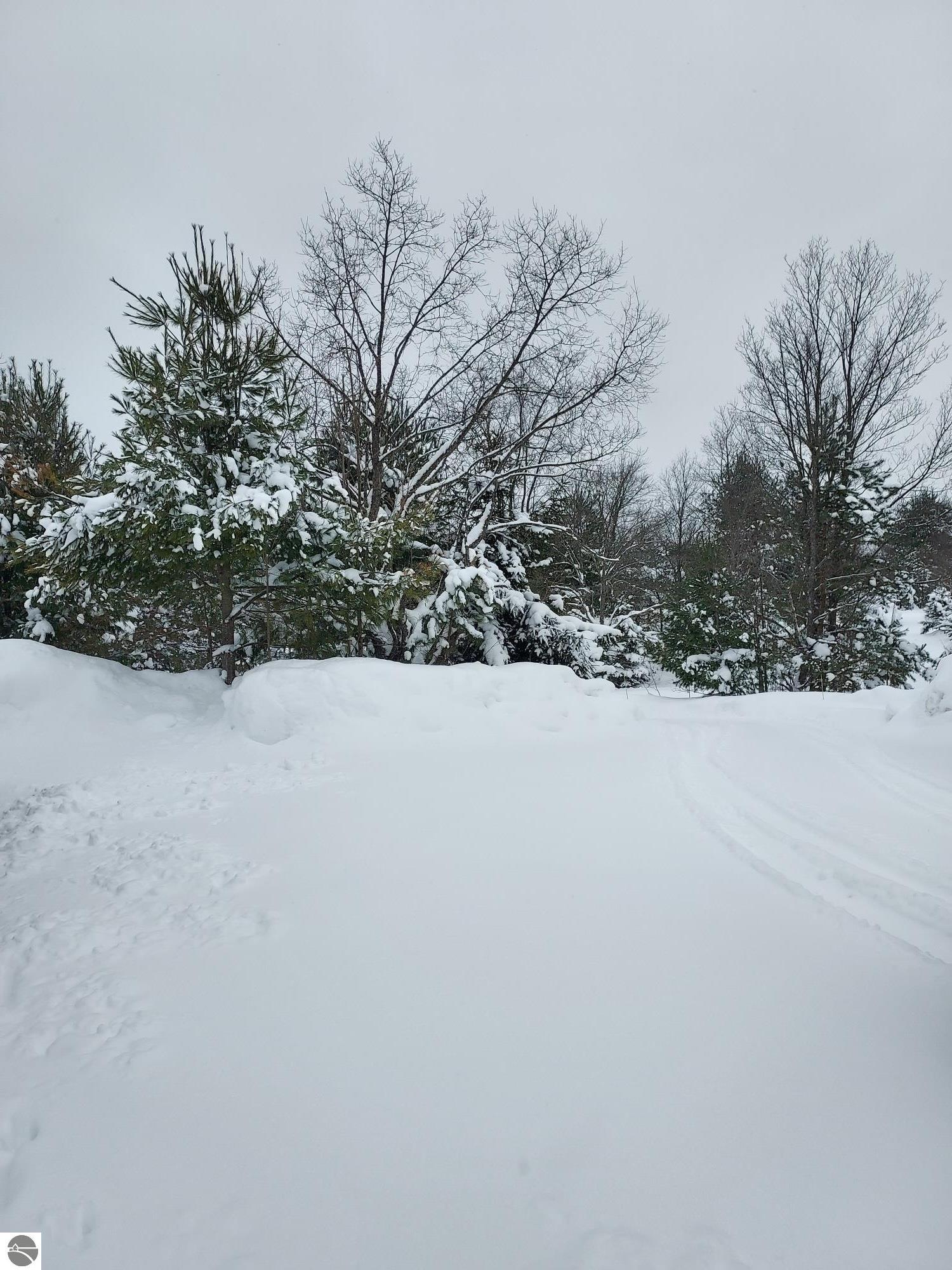 3690 County Road 571, Kalkaska, MI 49646 — Photo 55