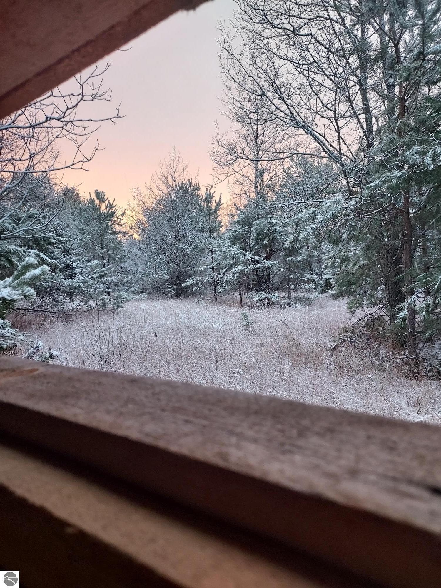 3690 County Road 571, Kalkaska, MI 49646 — Photo 56