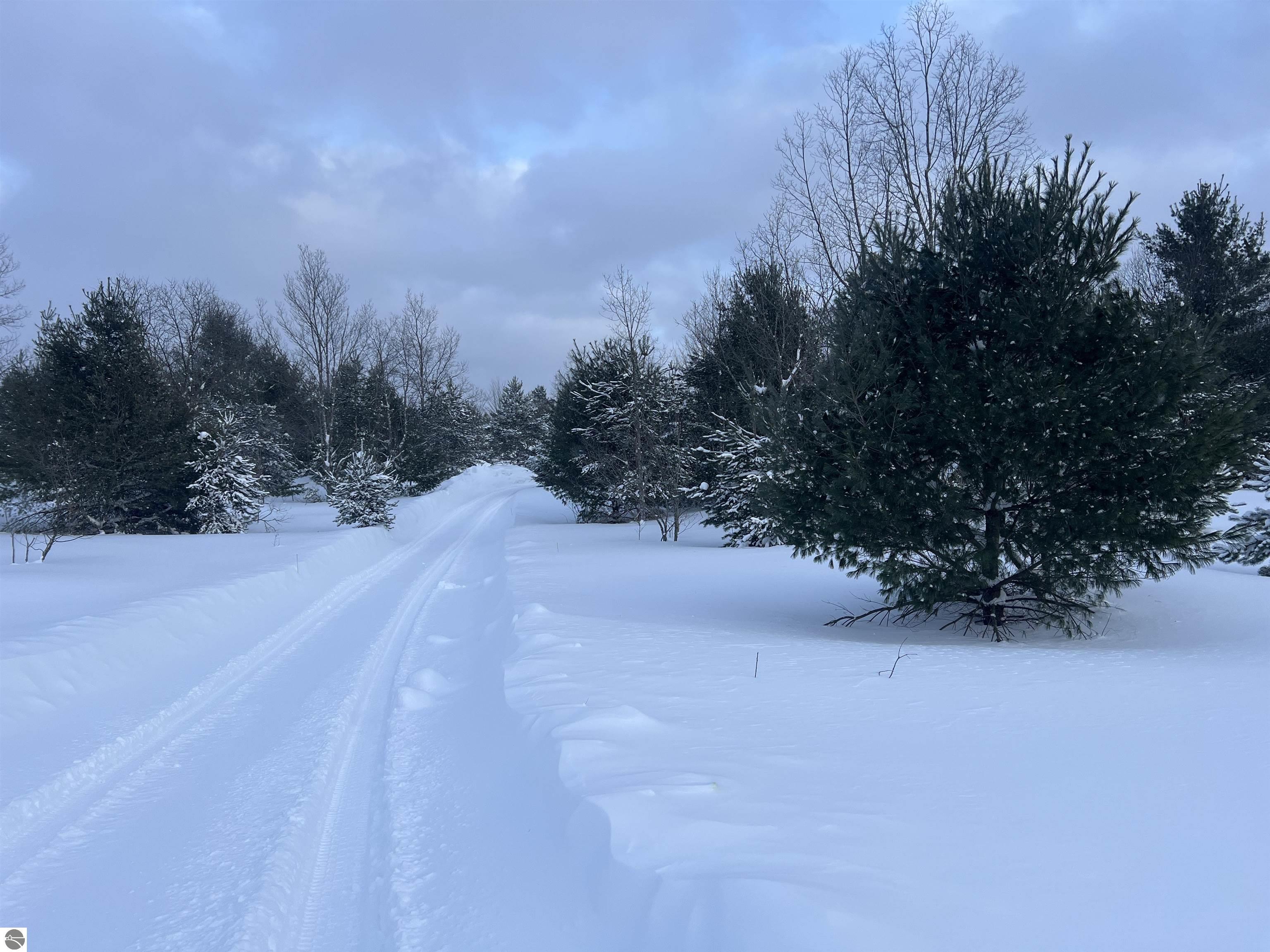 3690 County Road 571, Kalkaska, MI 49646 — Photo 57