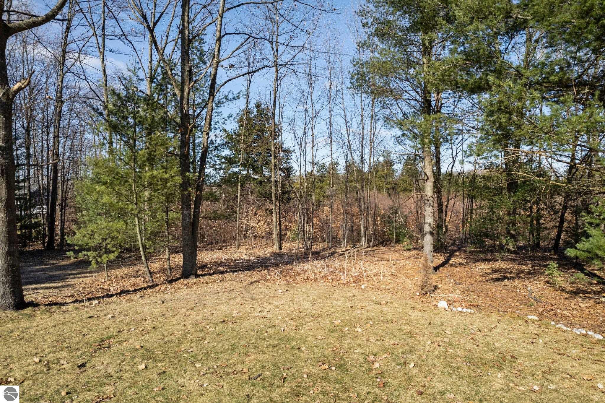 Image 85