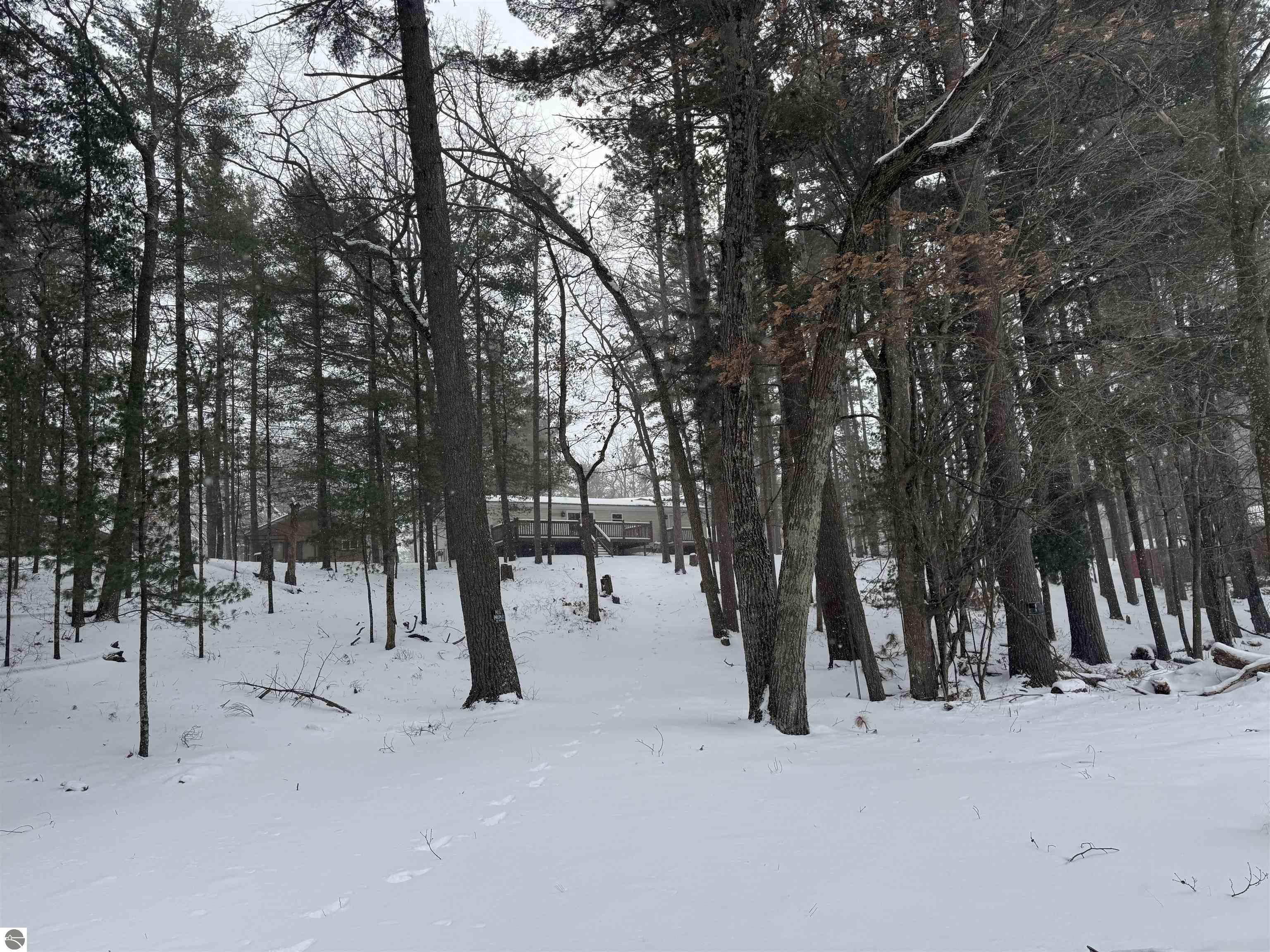 2505 Greenwood Drive, National City, MI 48748 — Photo 19
