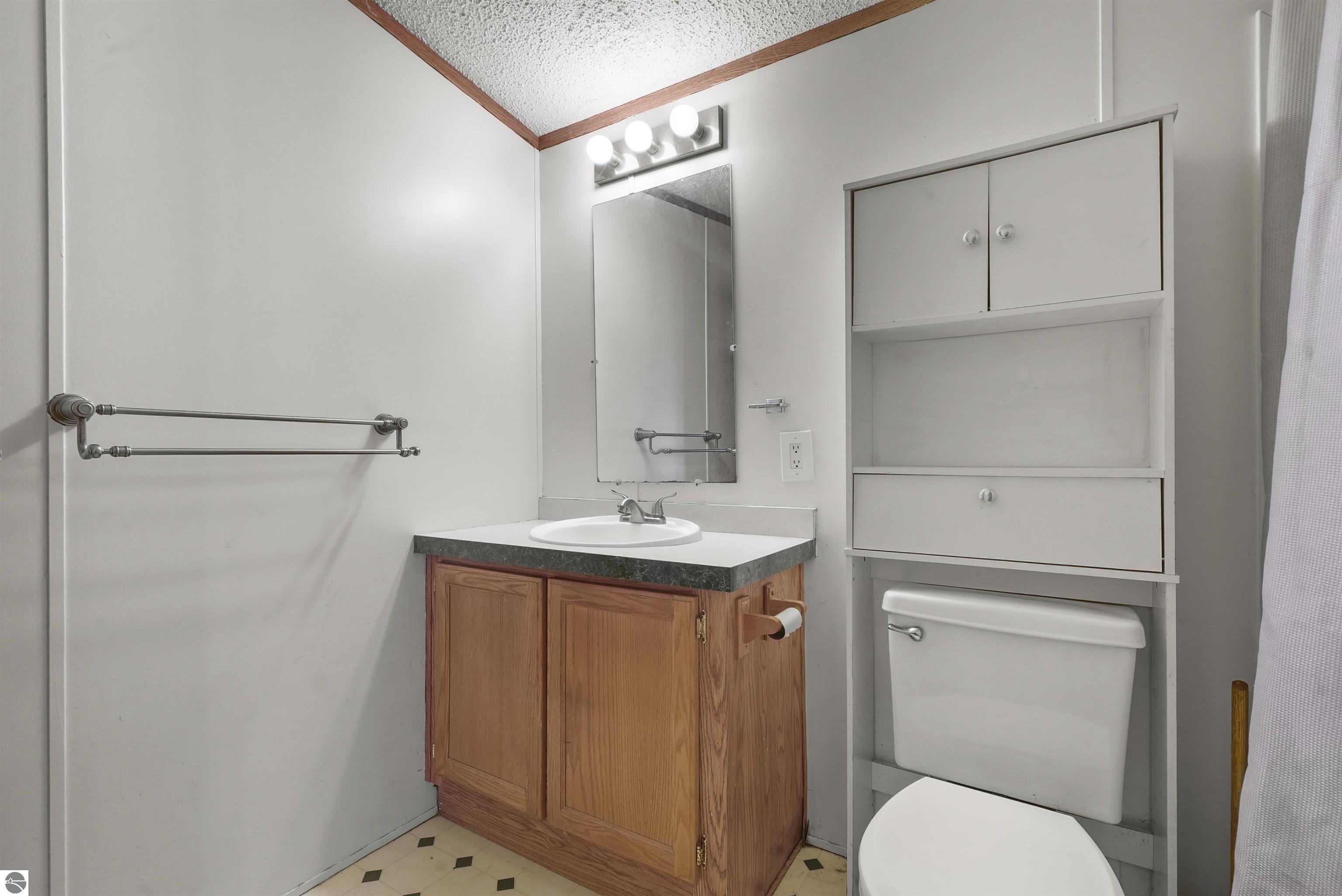 138 W Ridge Circle, Leroy, MI 49655 — Photo 20