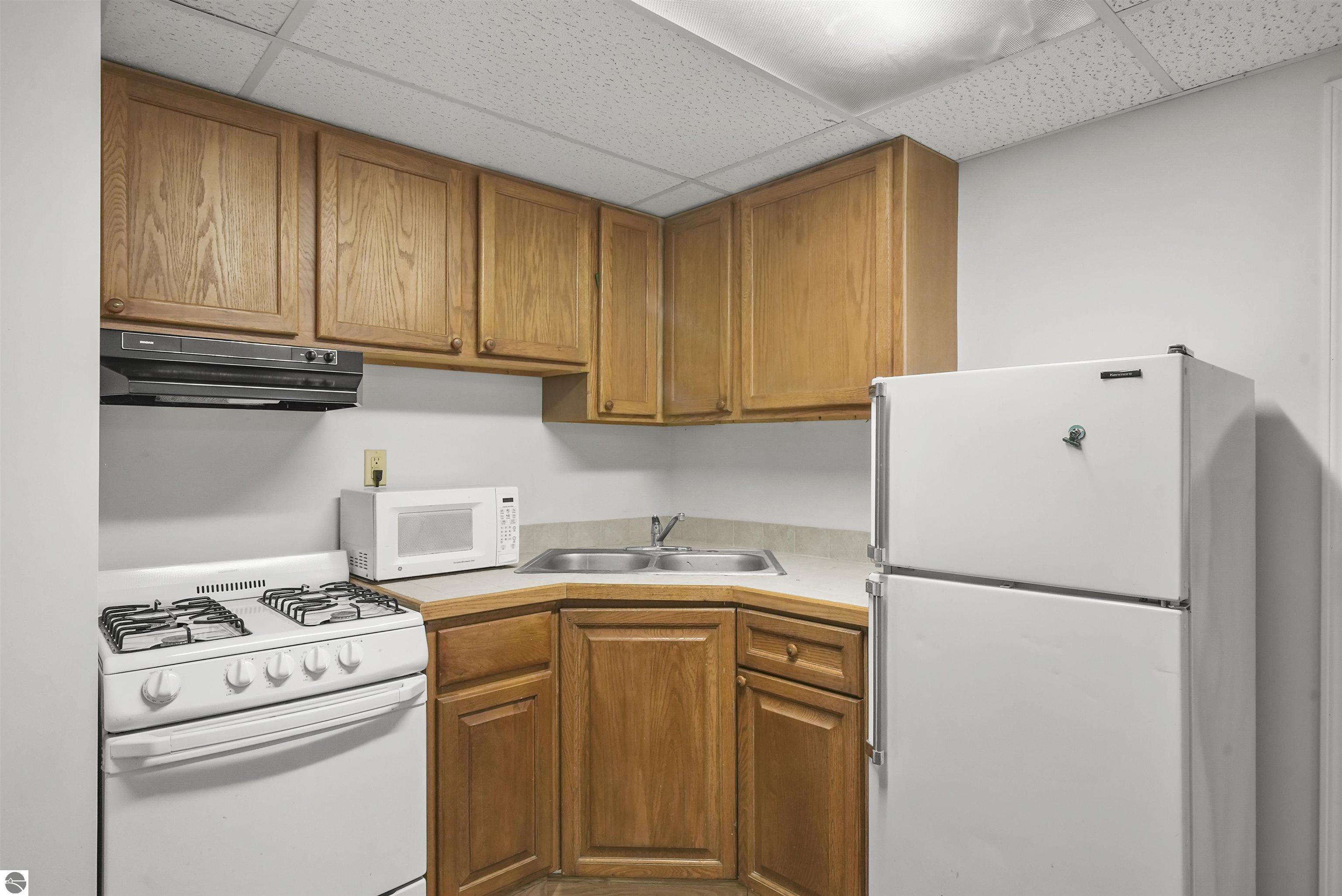 138 W Ridge Circle, Leroy, MI 49655 — Photo 32