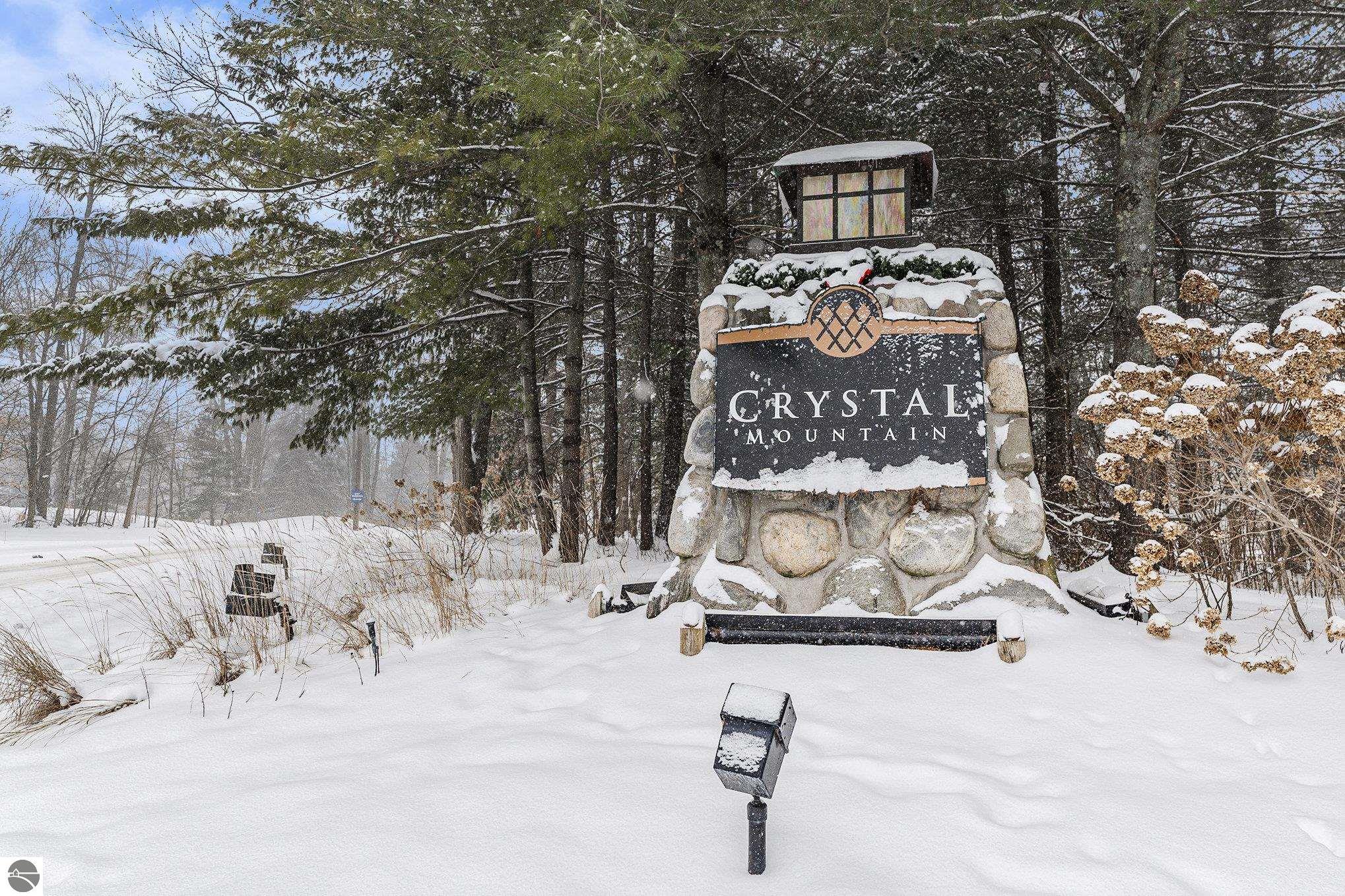 12450-Unit 8P Crystal Mountain Drive, Thompsonville, MI 49683 — Photo 25