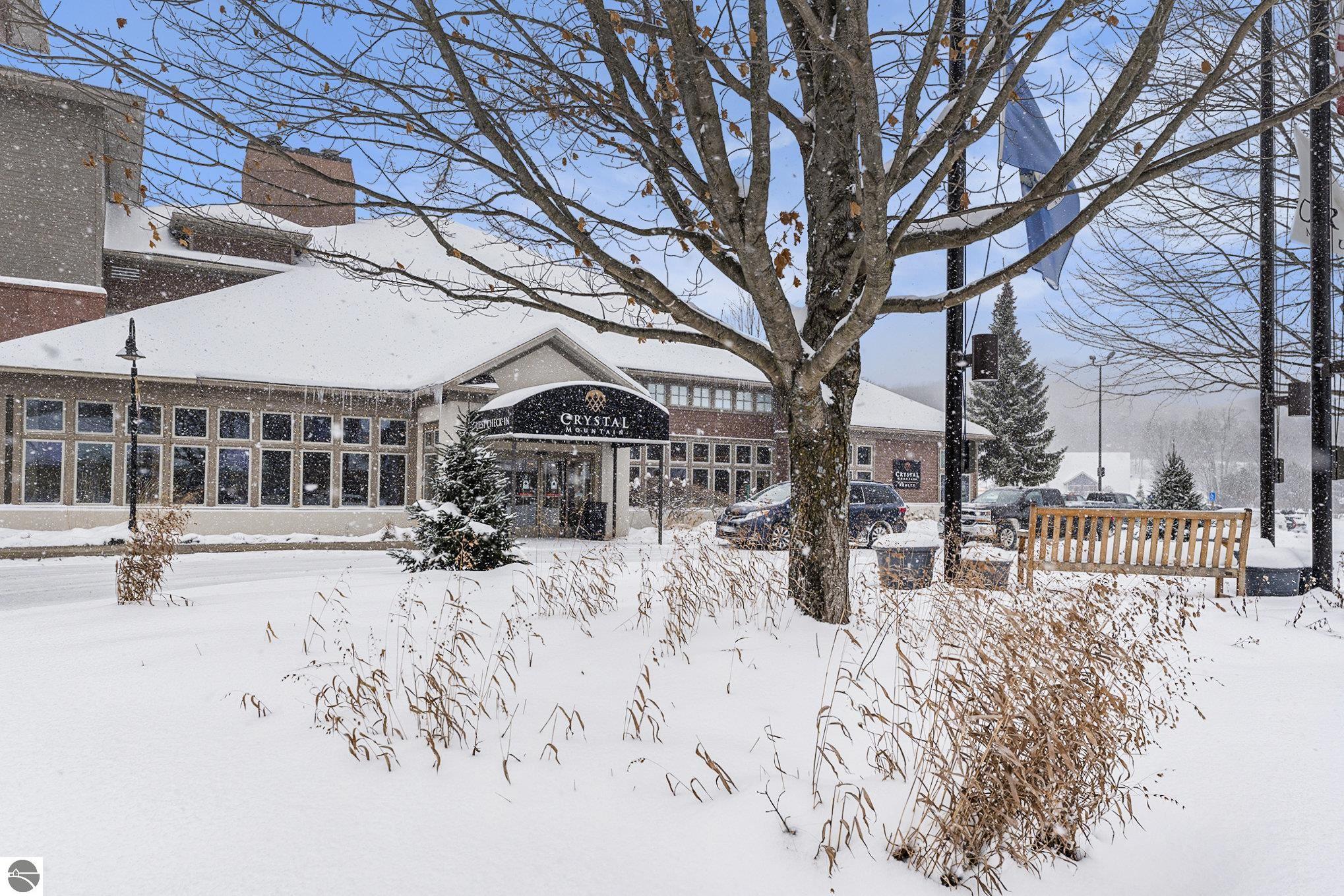 12450-Unit 8P Crystal Mountain Drive, Thompsonville, MI 49683 — Photo 28