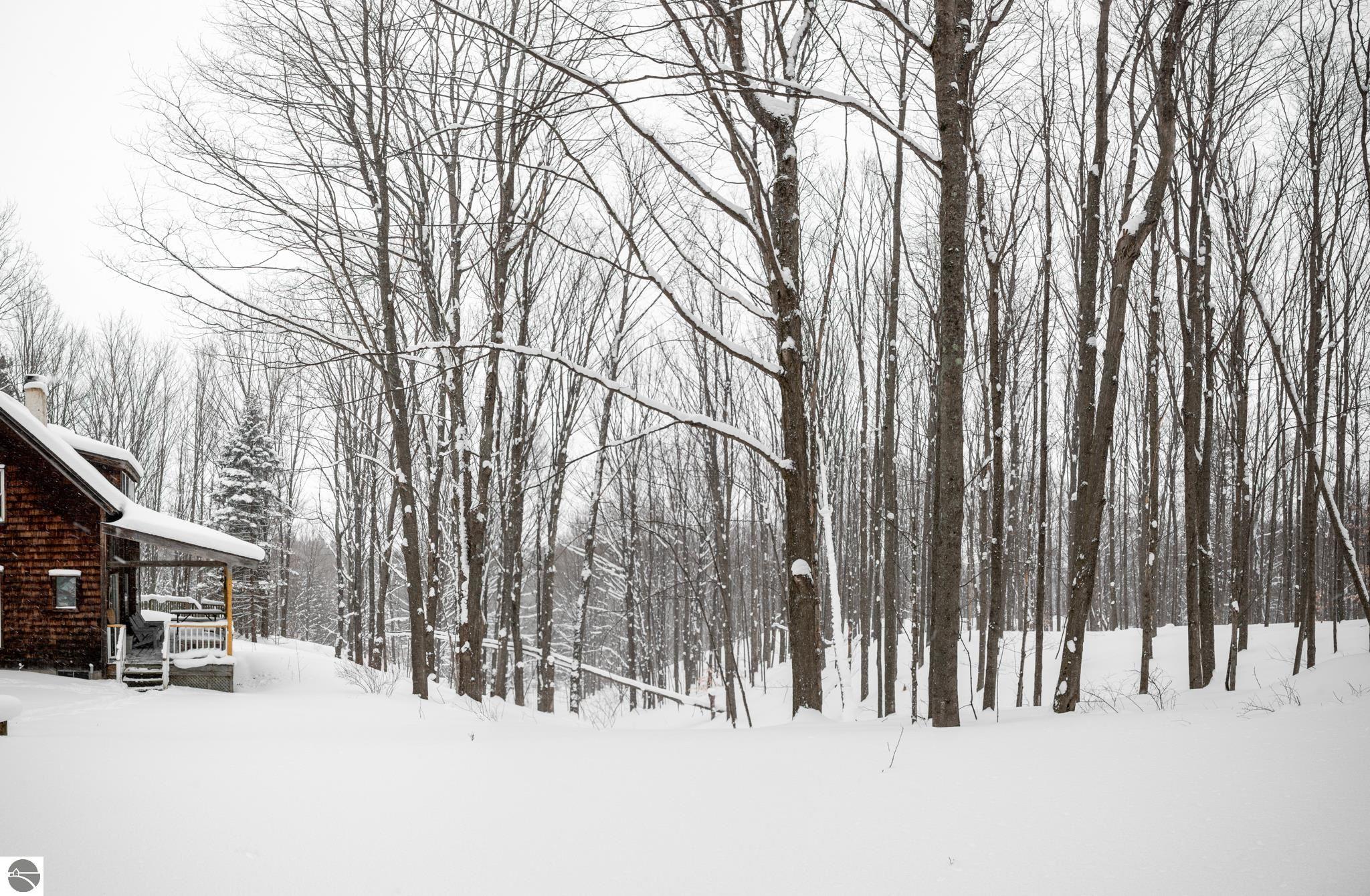2995 S Schomberg Road, Cedar, MI 49621 — Photo 57