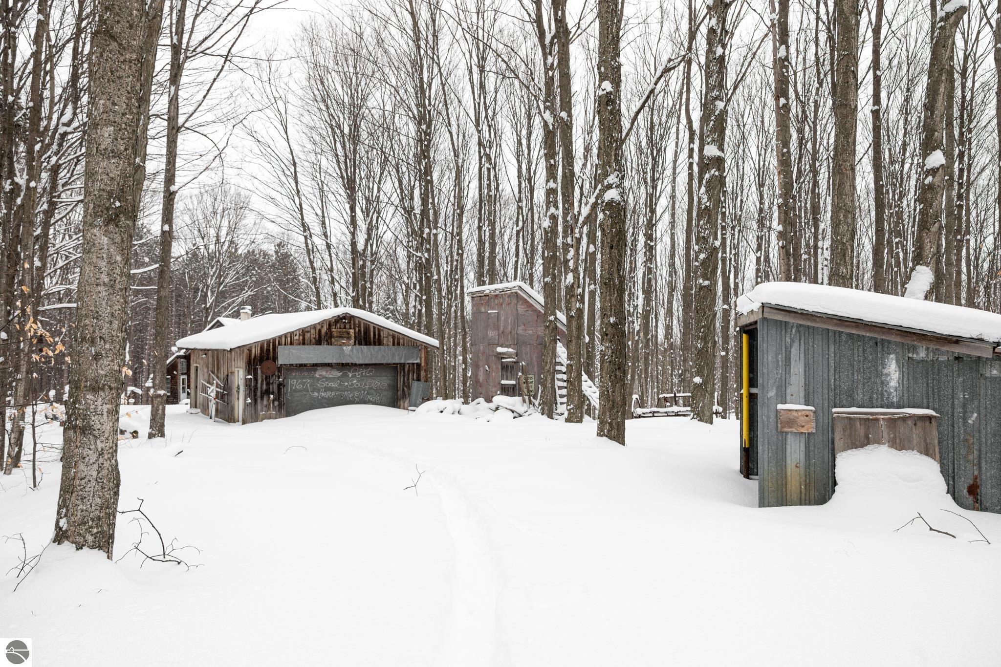2995 S Schomberg Road, Cedar, MI 49621 — Photo 58