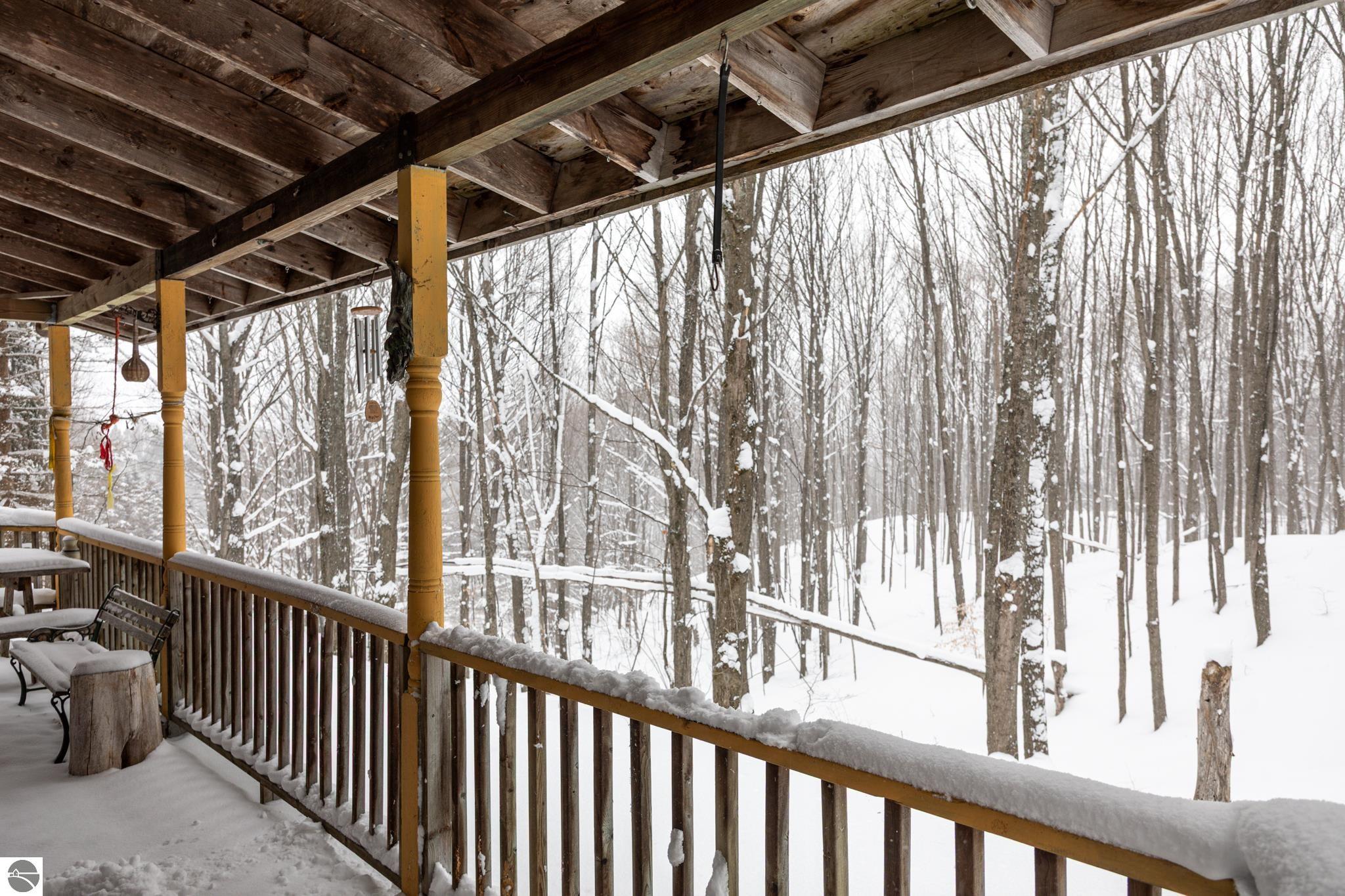 2995 S Schomberg Road, Cedar, MI 49621 — Photo 8