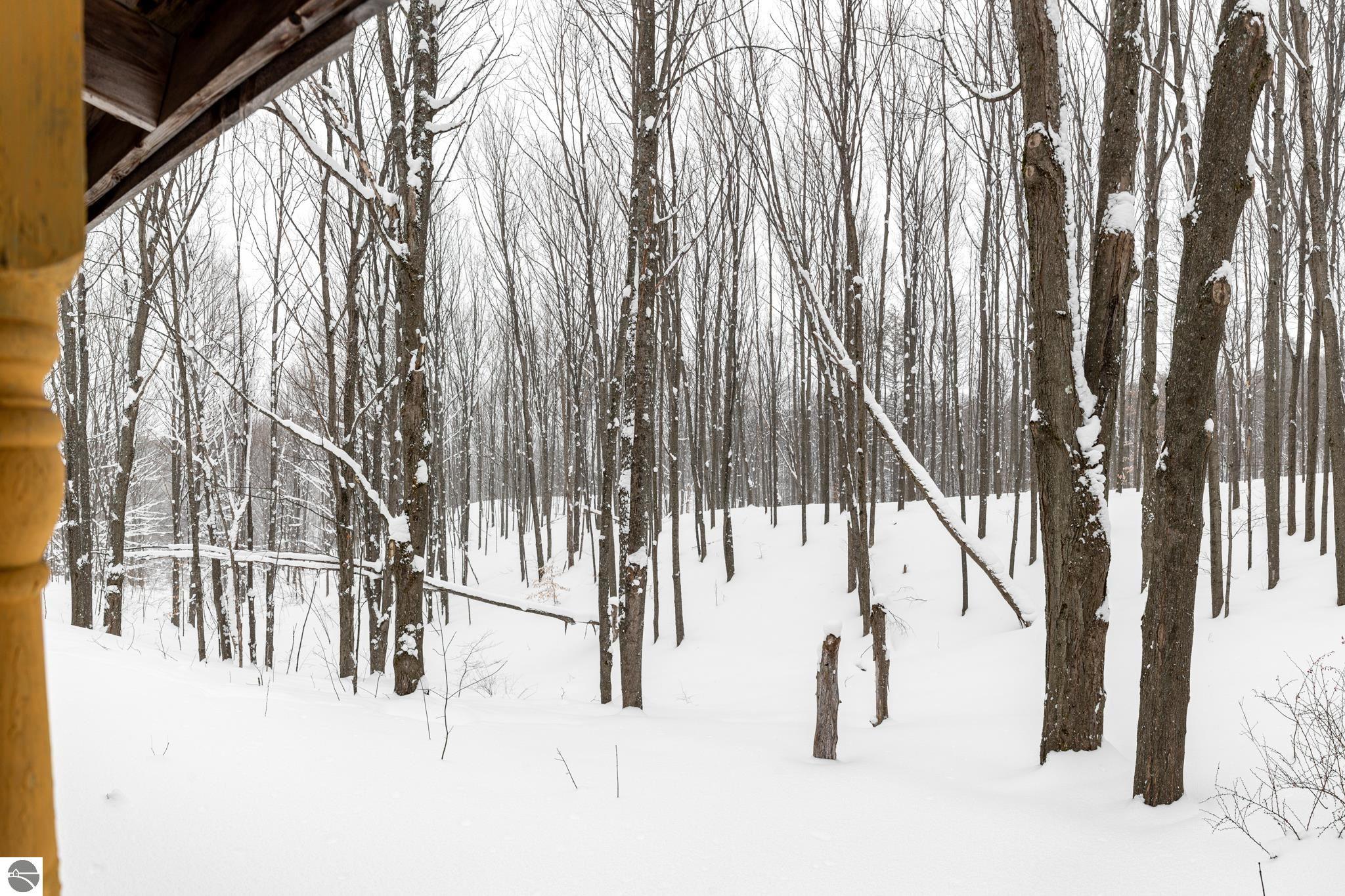 2995 S Schomberg Road, Cedar, MI 49621 — Photo 9