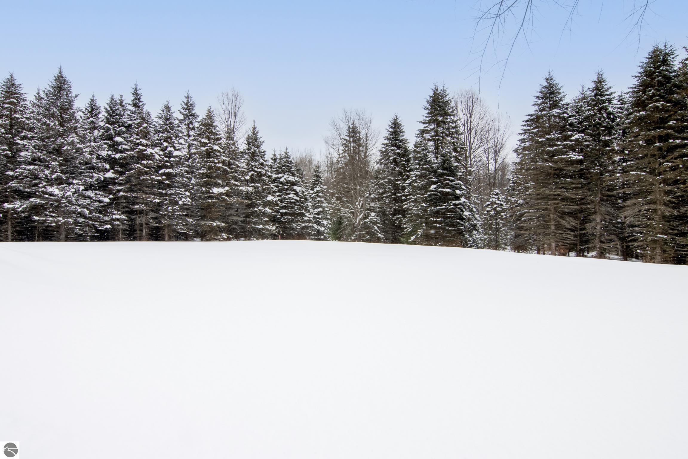 9775 SW Creighton Road, Fife Lake, MI 49633 — Photo 19