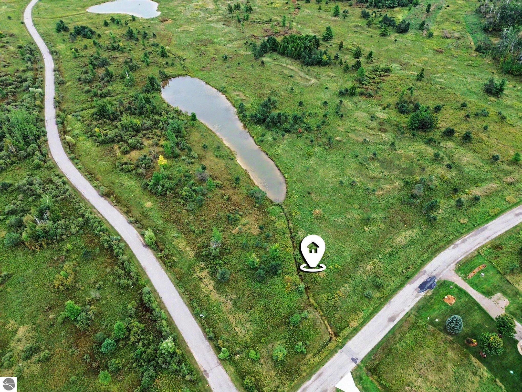 6412 Lora Bette Drive, Alanson MI 49706, Alanson, MI, 49706 — photo 2