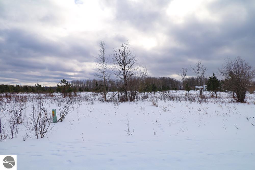 6412 Lora Bette Drive, Alanson MI 49706, Alanson, MI, 49706 — photo 9