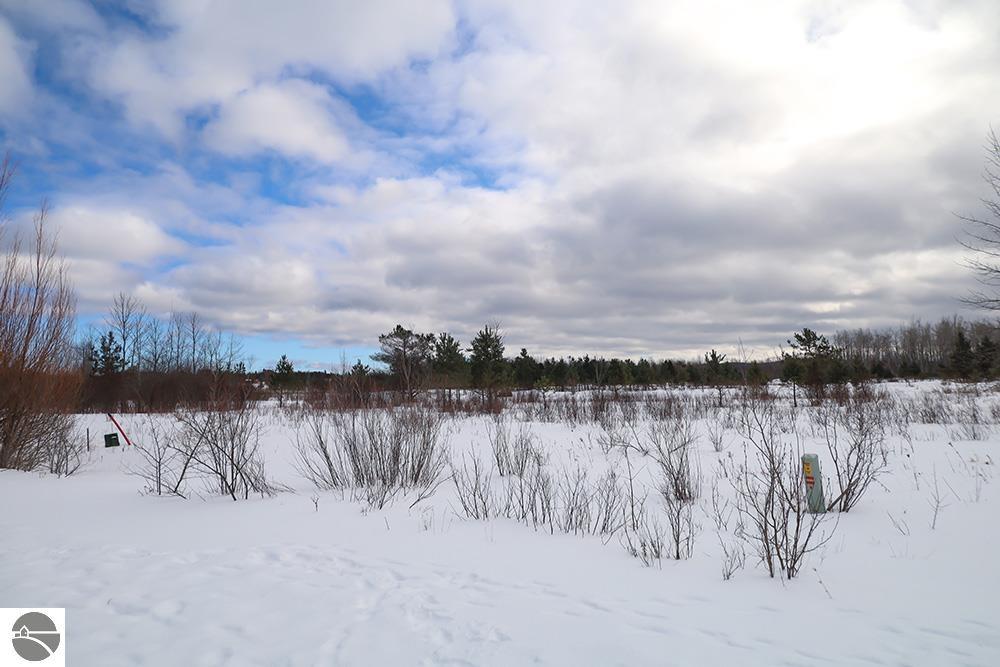 6436 Lora Bette Drive, Alanson MI 49706, Alanson, MI, 49706 — photo 9