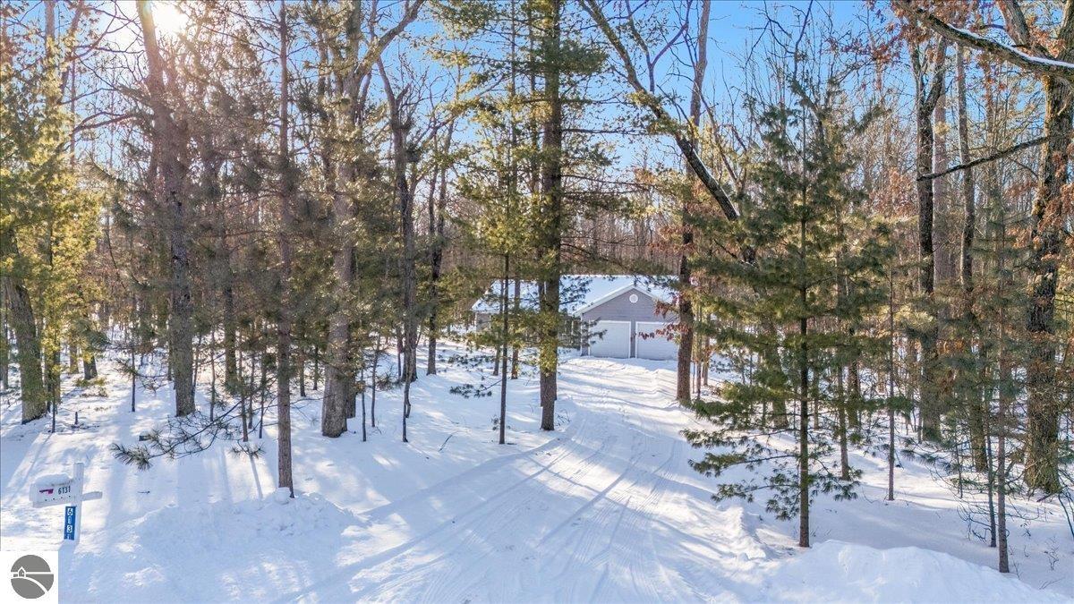 6131 Shellenbarger Road, Hale, MI 48739 — Photo 3