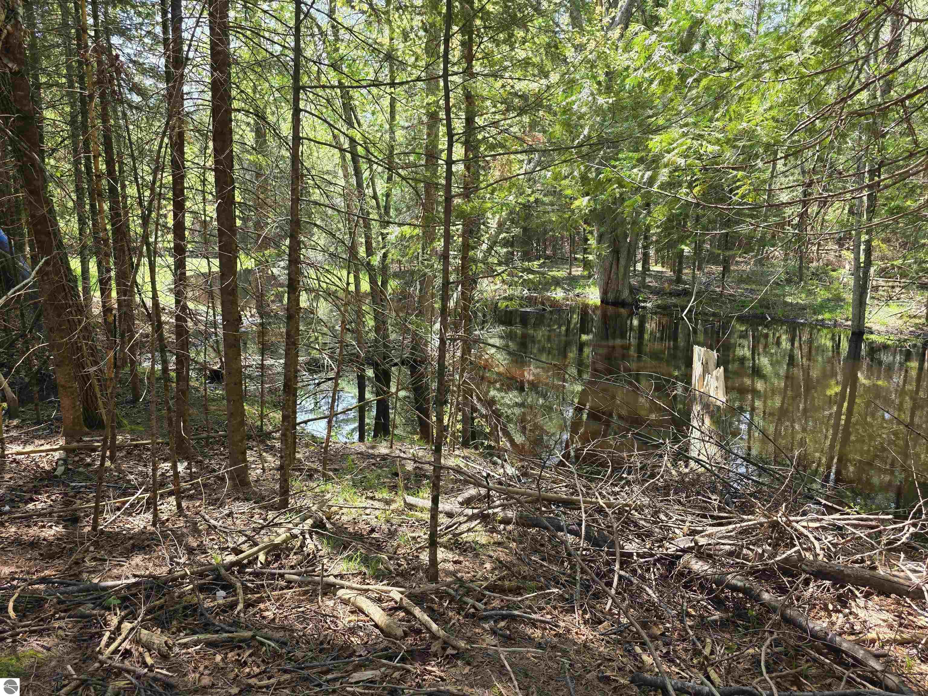12506 E Shore Drive, Millersburg, MI 49759 — Photo 42