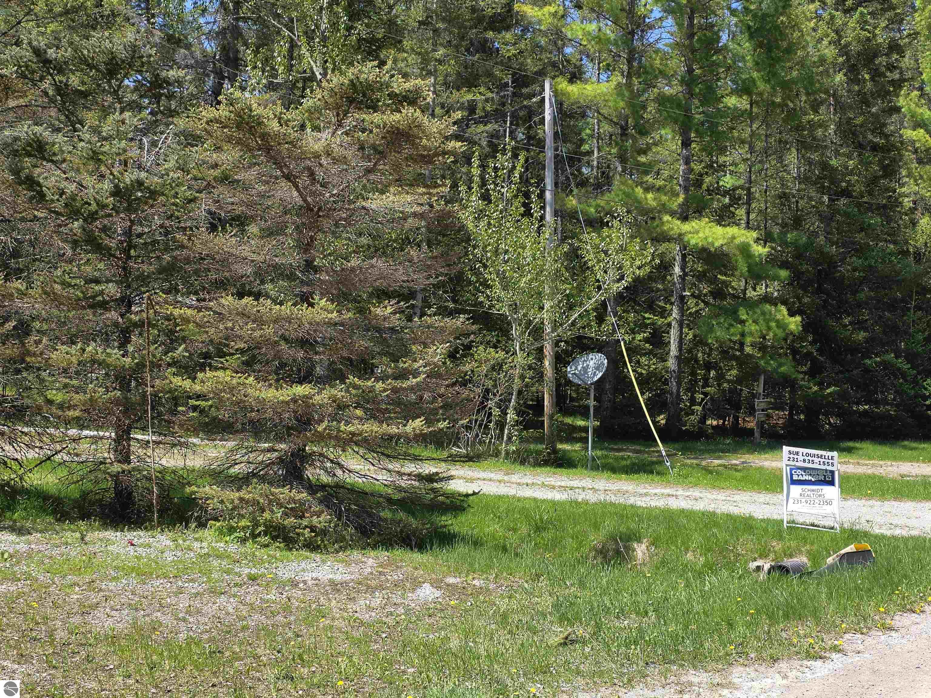 12506 E Shore Drive, Millersburg, MI 49759 — Photo 49