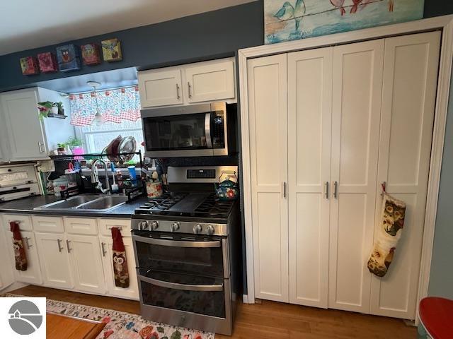 18575 Royena Drive, Marion, MI 49665 — Photo 11
