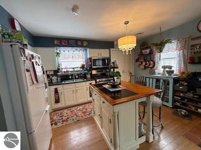 18575 Royena Drive, Marion, MI 49665 — Photo 10