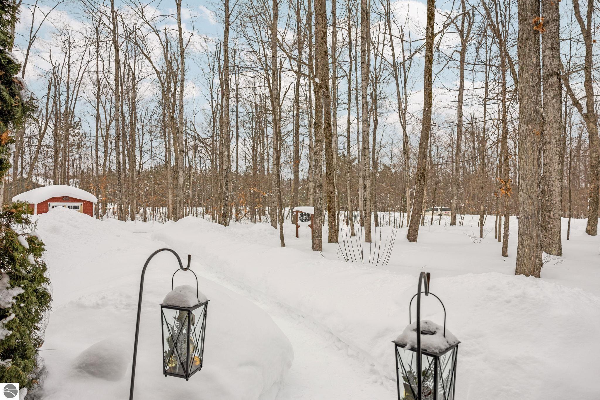 2620 Peregrine Drive, Elmira, MI 49730 — Photo 31