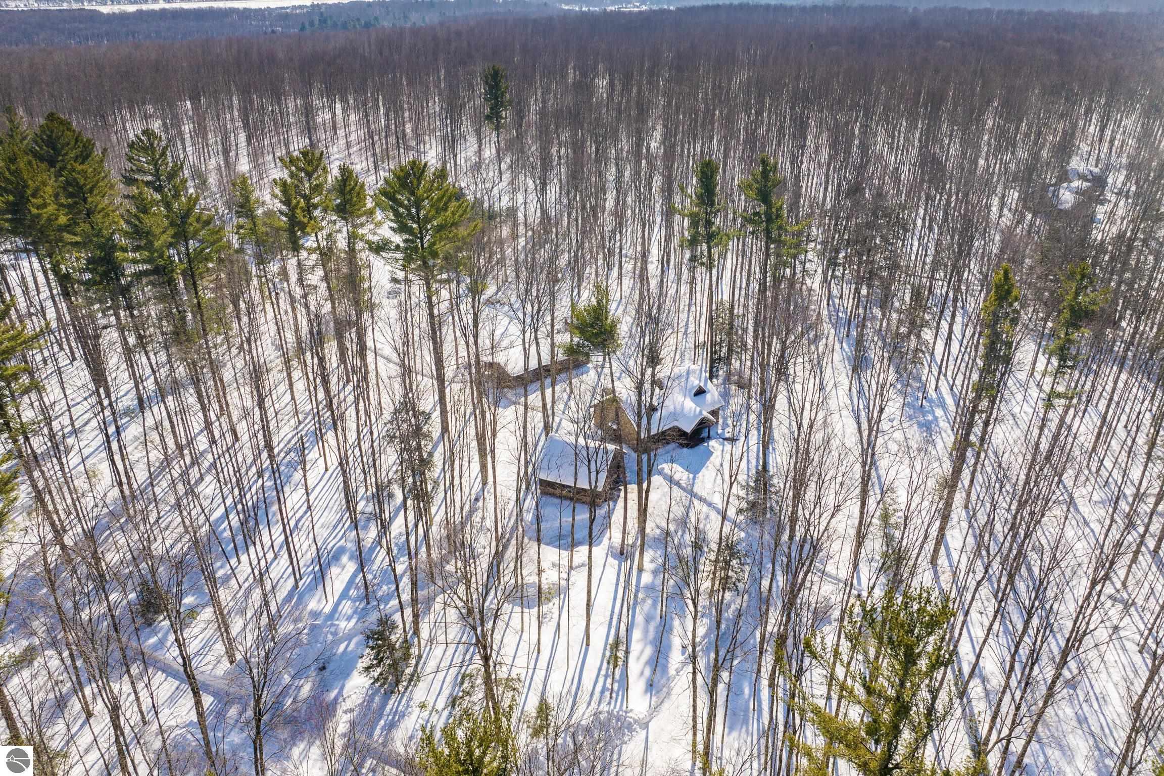 1396 NE Westwood Road, Mancelona, MI 49659 — Photo 37