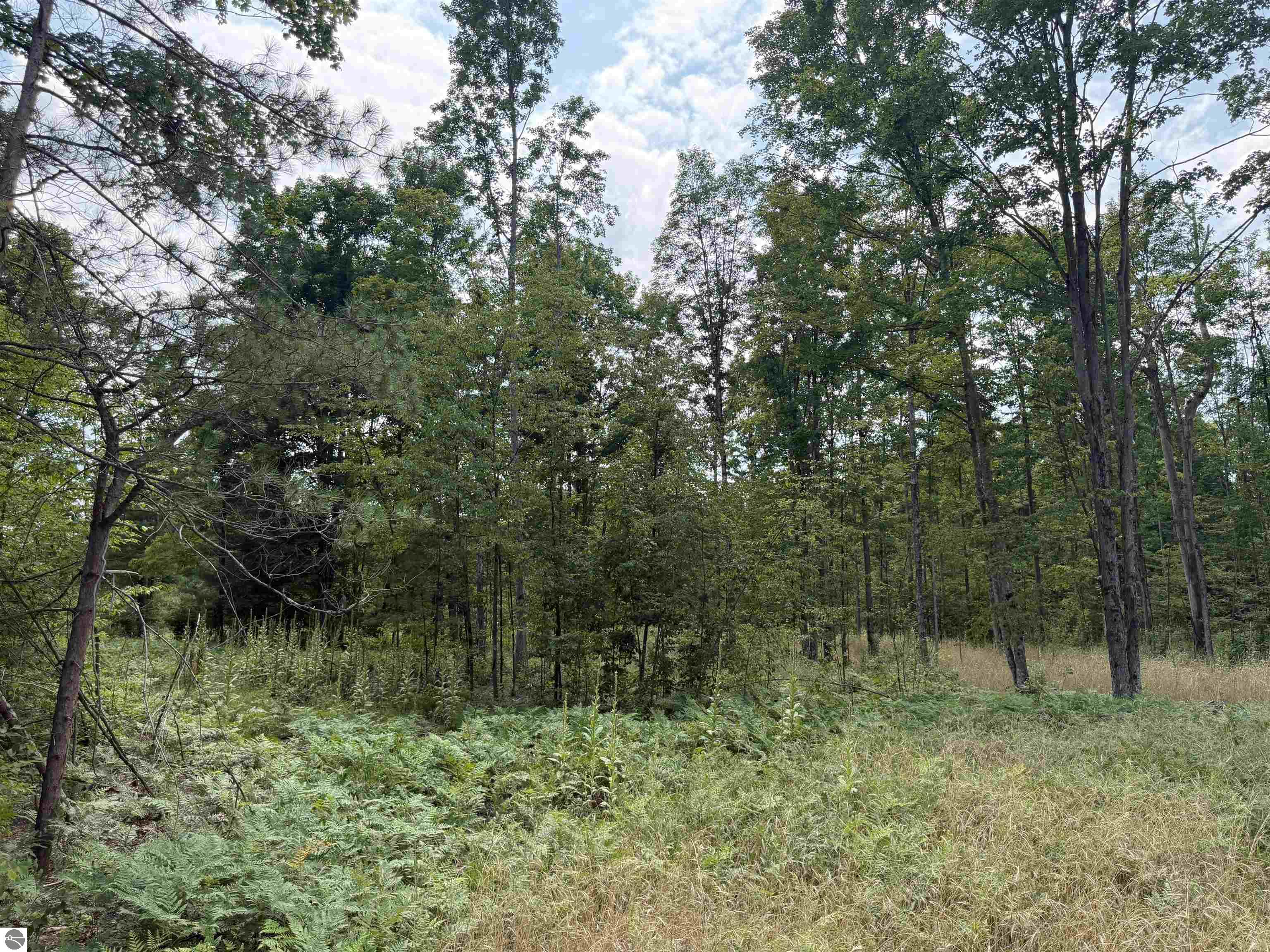 Image 14